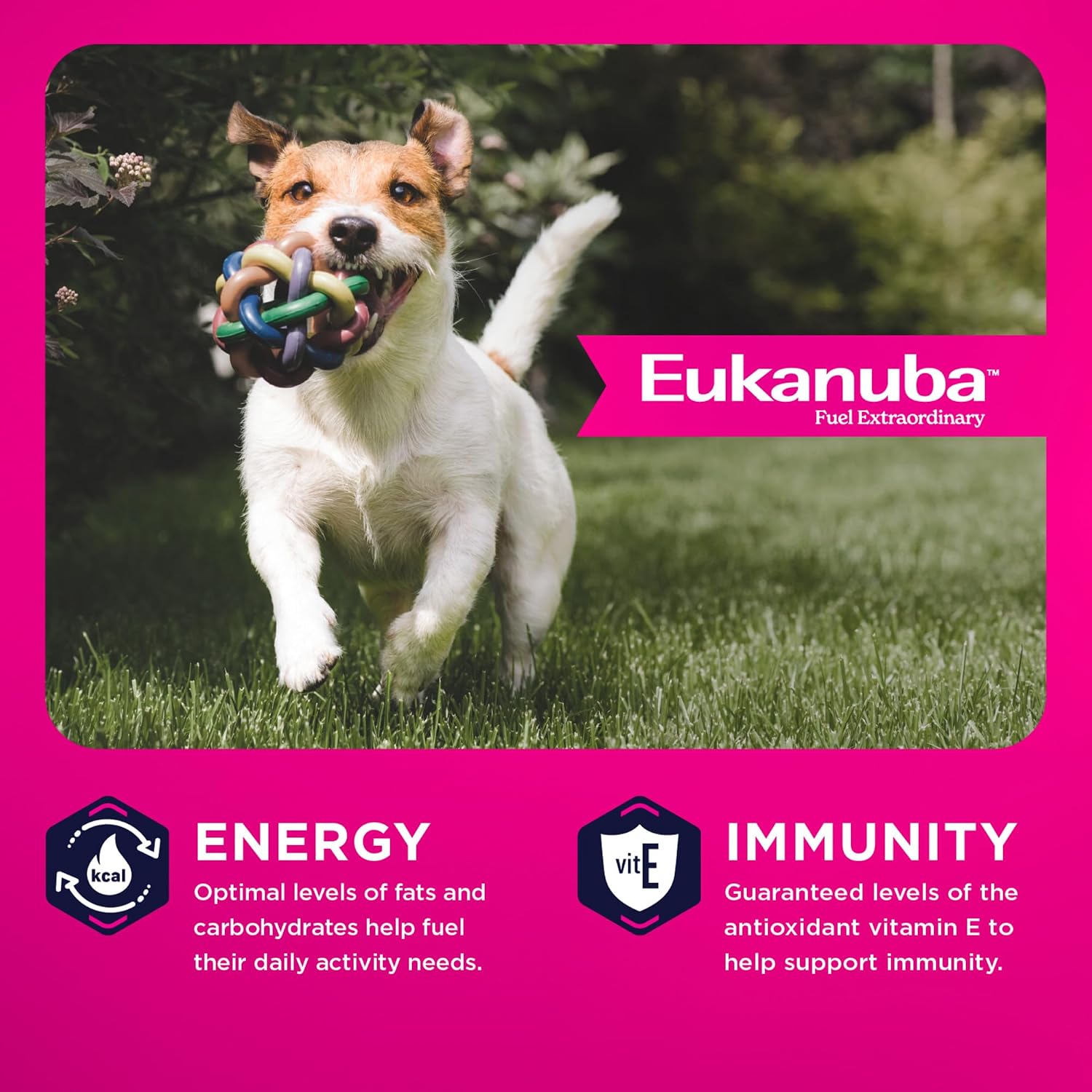 Eukanuba Adult Small Bites Dry Dog Food, 4.5 lb Bag