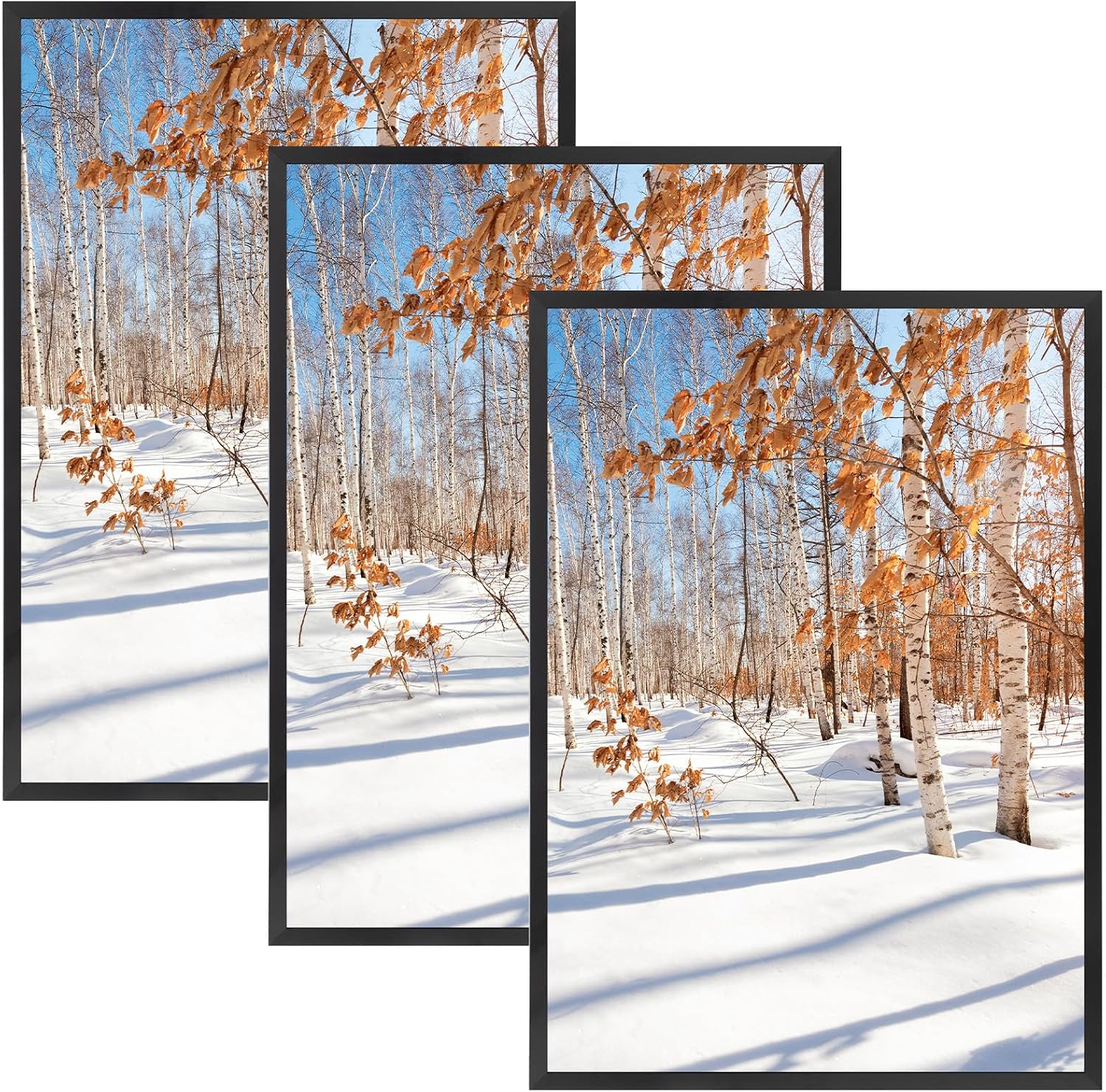 Golden State Art 3 Pack 12x12 Black Aluminum Frames, Real Glass Fronts