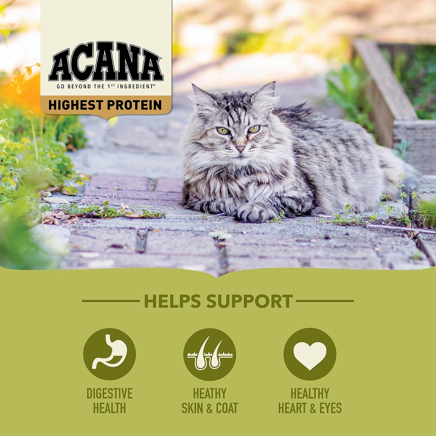 ACANA Grain-Free Dry Cat Food Meadowlands Recipe 4lb Bag