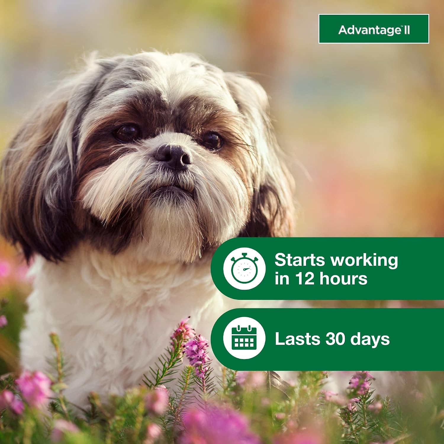 Advantage II Large Dog Vet-Recommended Flea Treatment & Prevention | Dogs 21-55 lbs. | 4-Month Supply