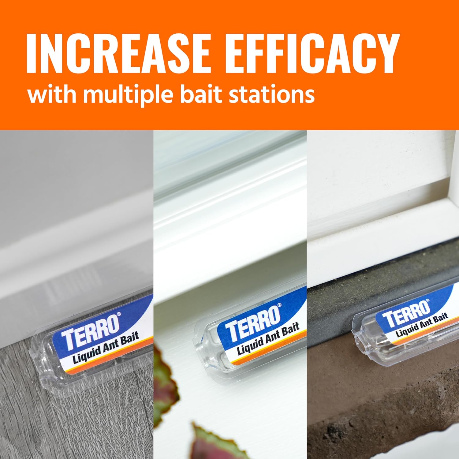 Terro, Ant Killer Bait Stations T300B - Liquid Bait to Eliminate Ants - Bait System - Stations for Effective Indoor Ant Control, 12 Count | Borax Formula, Kills the Queen & the Entire Colony, Liquid Ant Baits Indoor, Kills Household Ants, Indoor Use