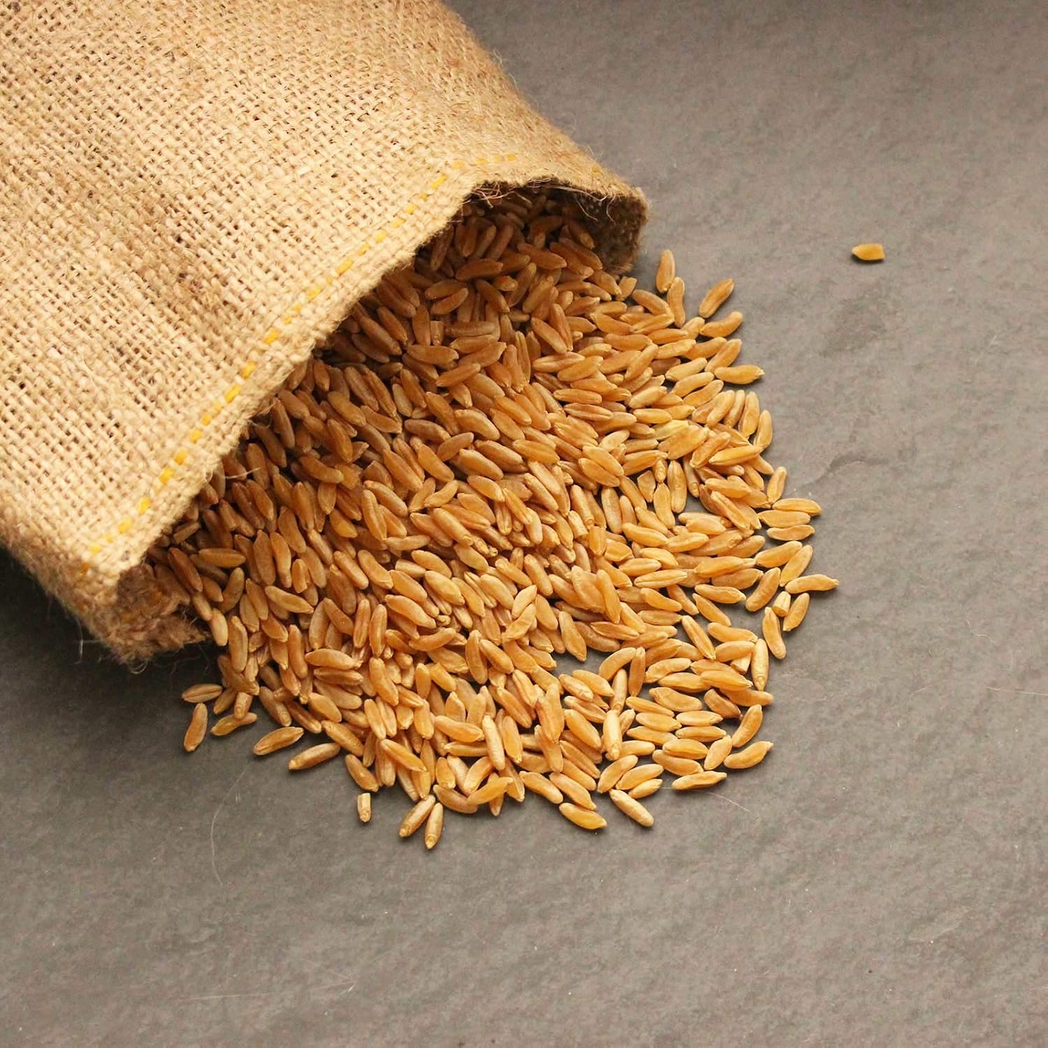 Handy Pantry Organic Kamut Seeds – 35 lb – Bulk Ancient Grain | Emergency Food Storage, Baking, Sprouting, Milling