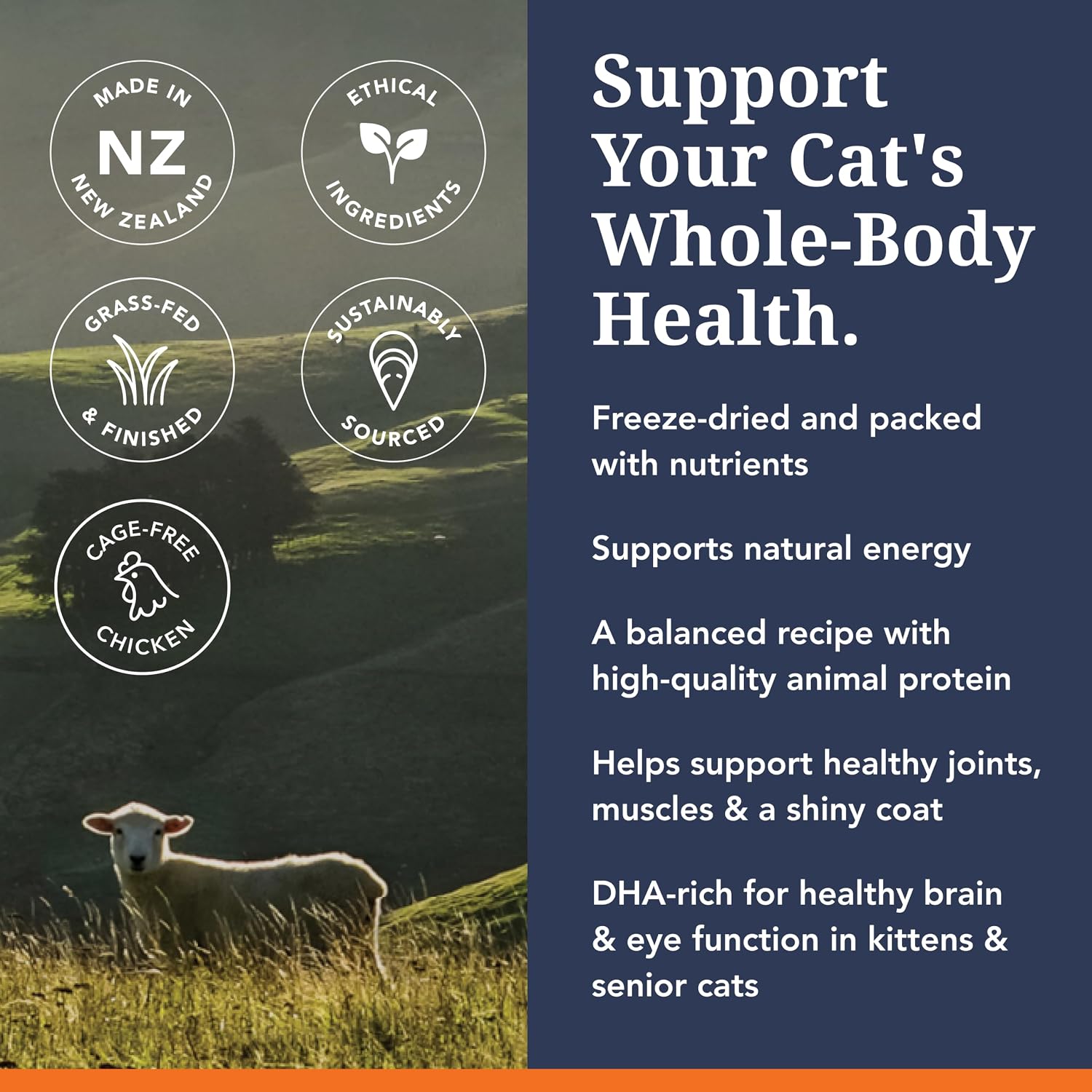 Feline Natural - High Protein Freeze Dried Dry Cat Food with 98% Meat