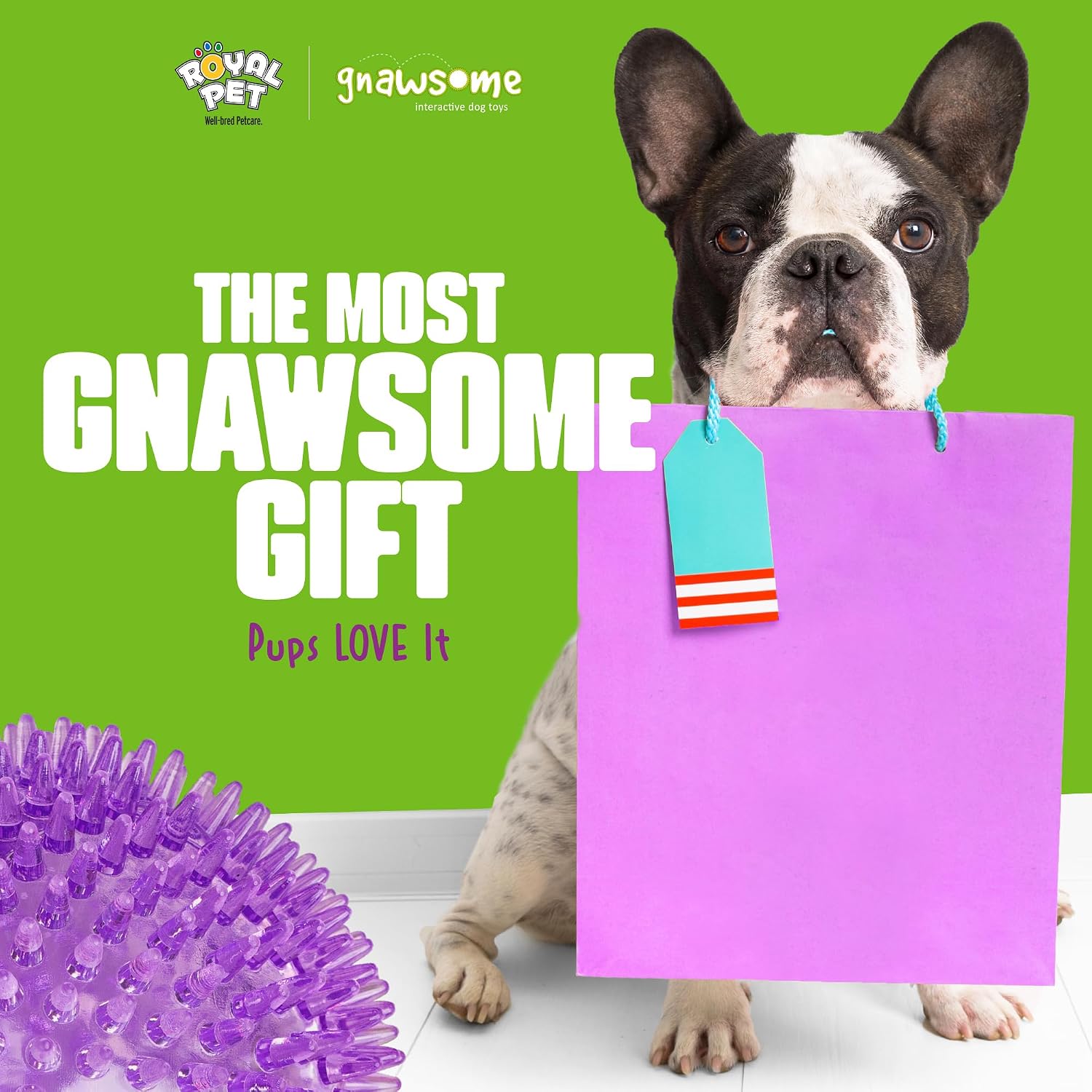 Gnawsome™ 4.5” Spiky Squeaker Ball Dog Toy - Extra Large, Cleans Teeth and Promotes Good Dental and Gum Health for Your Pet, Colors will vary