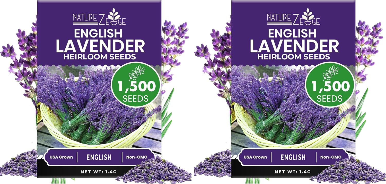 NatureZ Edge1500 English Lavender Seeds for Planting Outdoors or Indoors, 90% Germination, Lavender Plants, Non-GMO, Heirloom Herb Seeds (1 Pack)