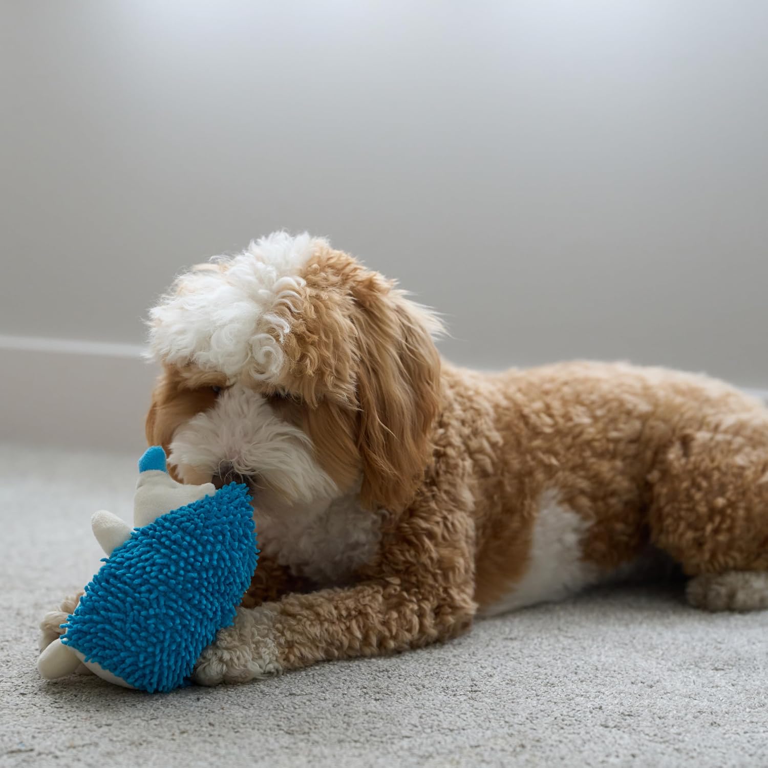SPOT Gigglers Hedgehog Dog Toy with Giggle Sound | Textured, Plush Shake and Wiggle Hedgehog Giggle Toy for Small and Medium Dog Breeds
