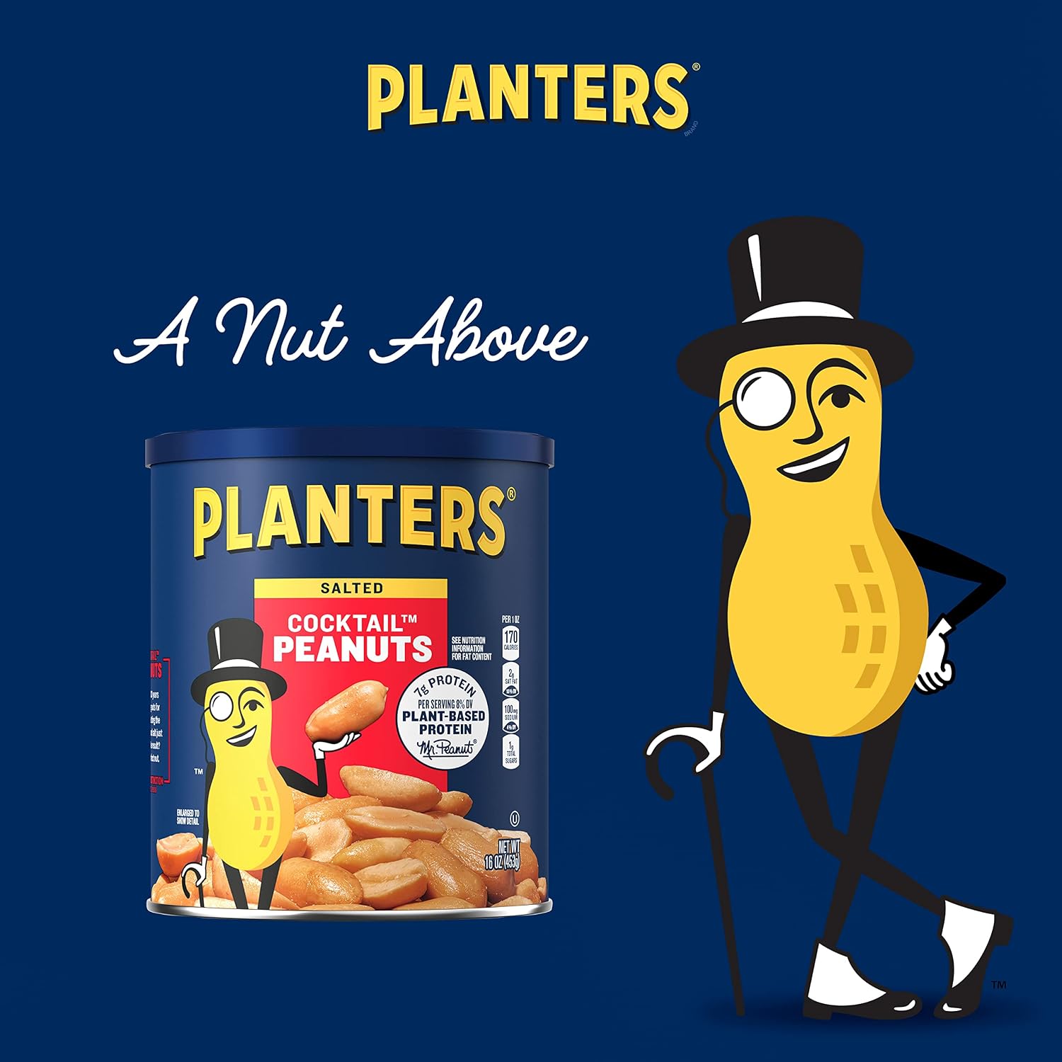 PLANTERS Salted Peanuts, Party Snacks, 16 Oz (1 Ct) | Dry Roasted Salted Peanuts. 0g Trans Fat. Resealable Jar. Snacks for Adults. Party Mix, Flavored Nuts