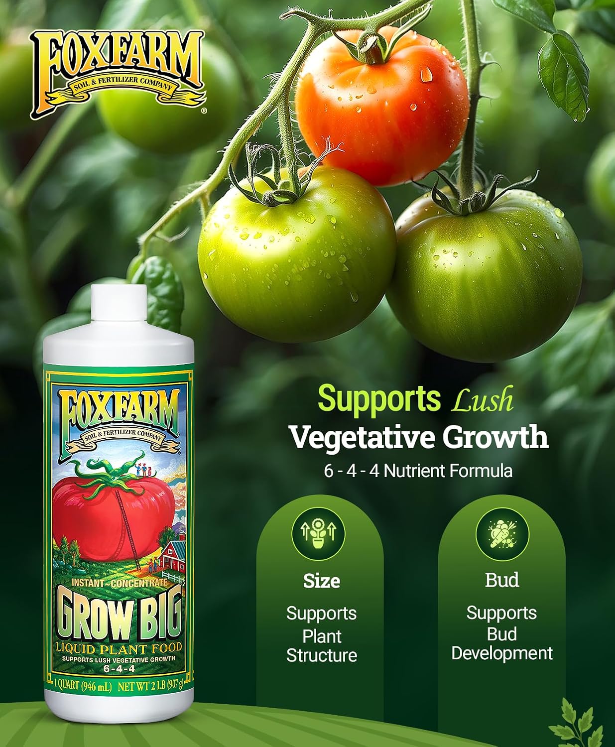 FoxFarm Grow Big Liquid Plant Food - 6-4-4 House Plant Fertilizer for Lush Vegetative Growth, Fast Nutrient Uptake for Roses, Tomatoes & Veggies - Quart Size Concentrate