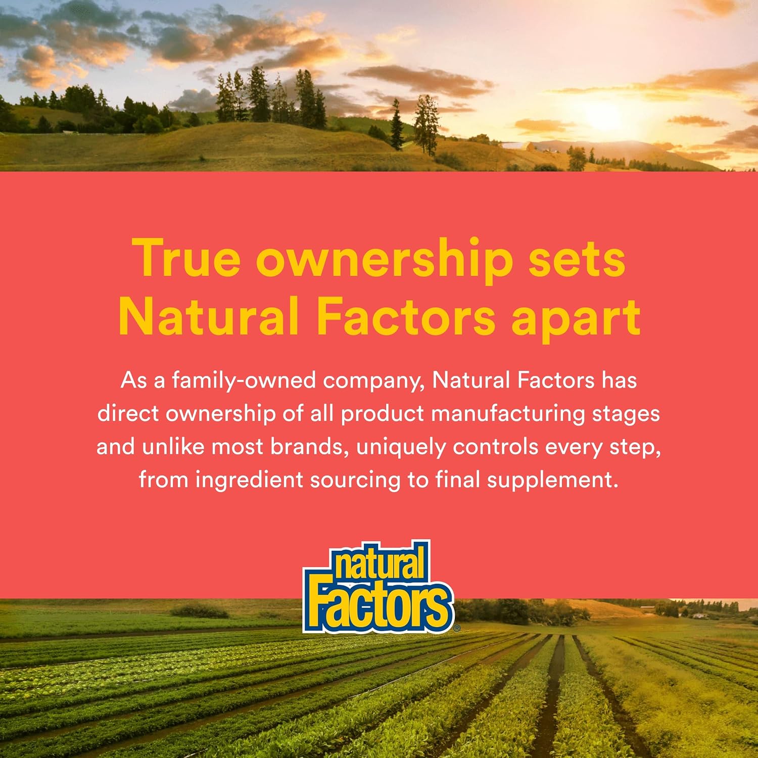 Natural Factors Quercetin LipoMicel Matrix 250 mg, 60 Softgels
