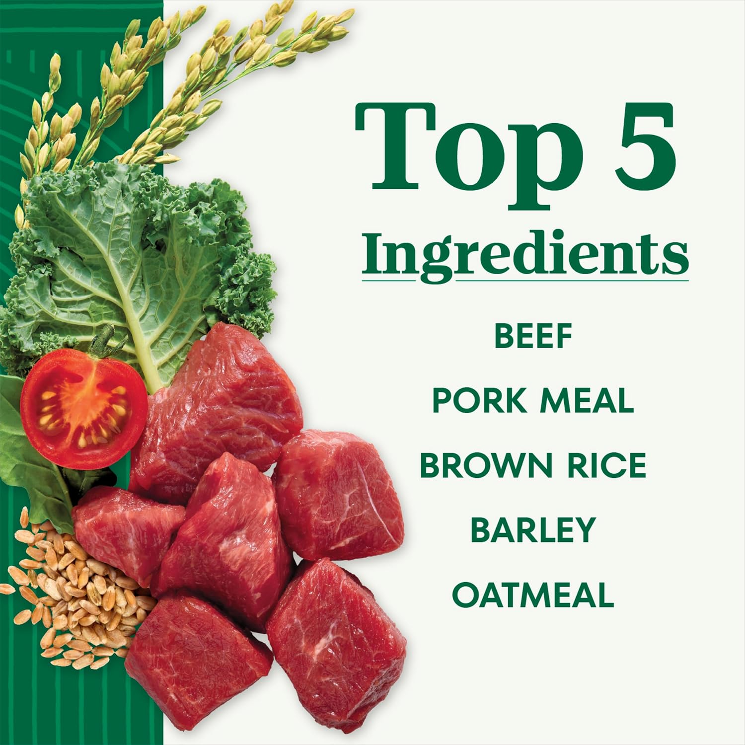 Nutro Natural Choice Adult Dry Dog Food, Chicken & Brown Rice Recipe, 5 lb | Non-GMO, Real chicken #1 ingredient, no corn, wheat, soy or chicken by-product meal, supports skin & coat/digestion/immunity