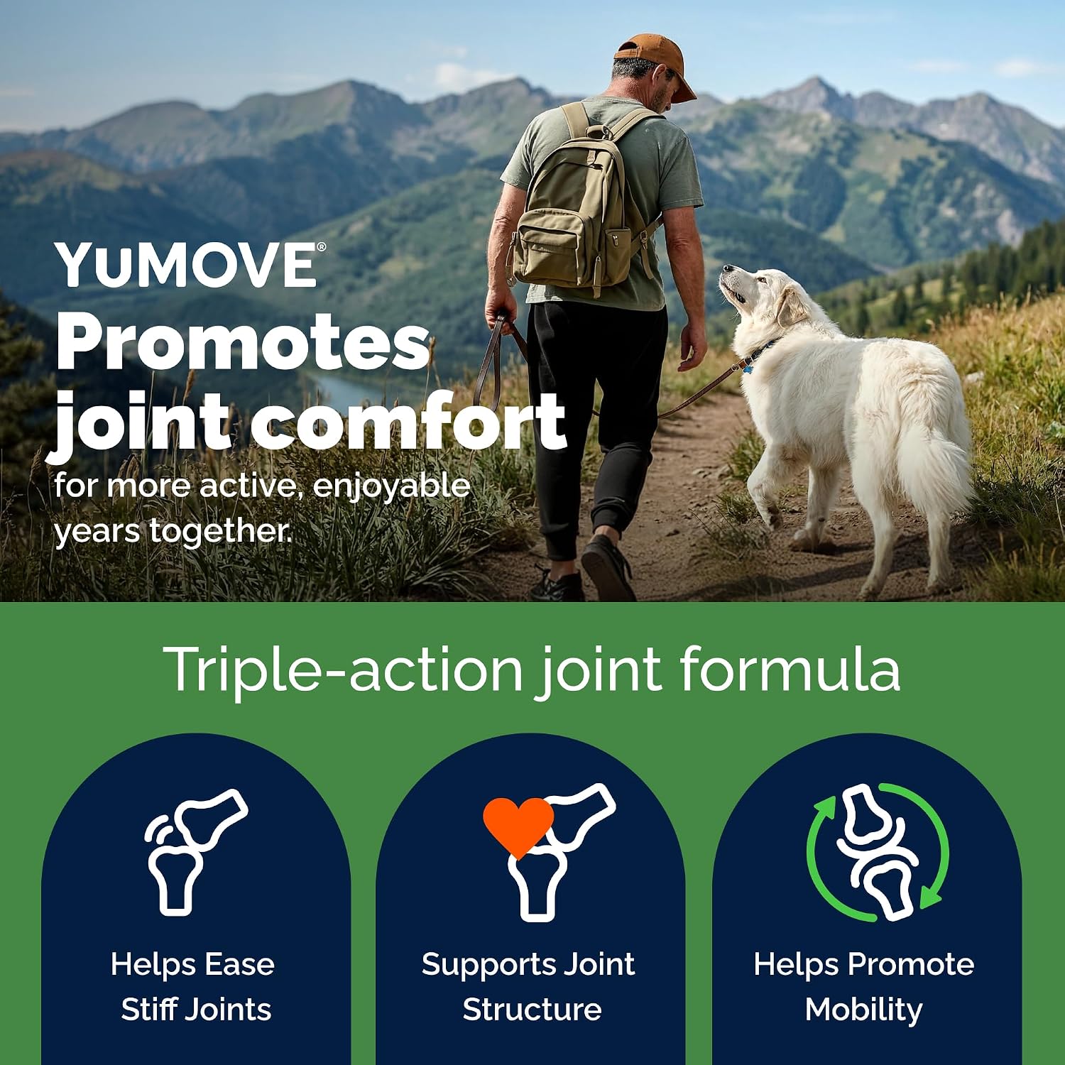 YuMOVE Large Dog Hip & Joint Supplement Soft Chews, Green Lipped Mussel