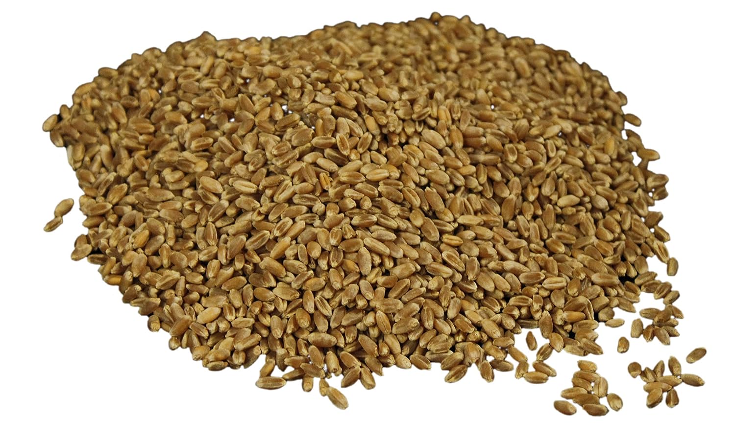 Hard Red Wheat Berries : Wheatland™ : 25 lb Bulk: Emergency Preparedness : Mylar : Oxygen Absorber : 30 Year Shelf Life : Non GMO: NO Glyphosate :