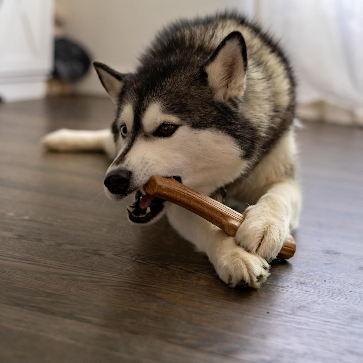 Pupstages Super Dogwood Stick Dog Chew Toy, Made in USA, X-Small, 6"