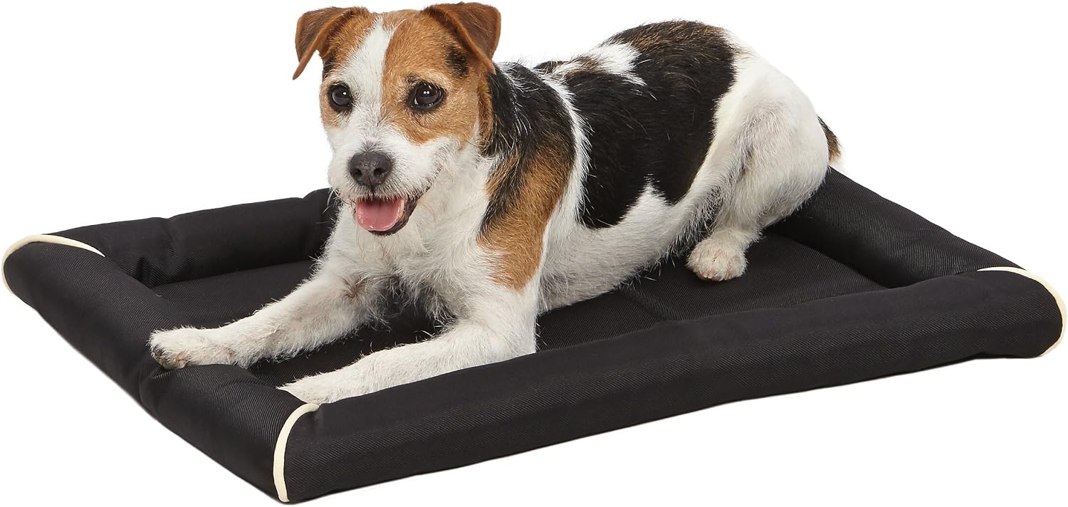 MidWest Homes for Pets Intermediate QuietTime MAXX Ultra-Rugged Dog Bed, Water & Odor Resistant, Bolstered Edge, Non-Slip Bottom, Fits 36-inch Crates, Black