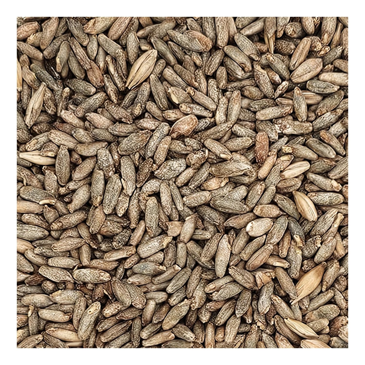 Briess-BM-5332 Rye Malt (5 lb) - Brown
