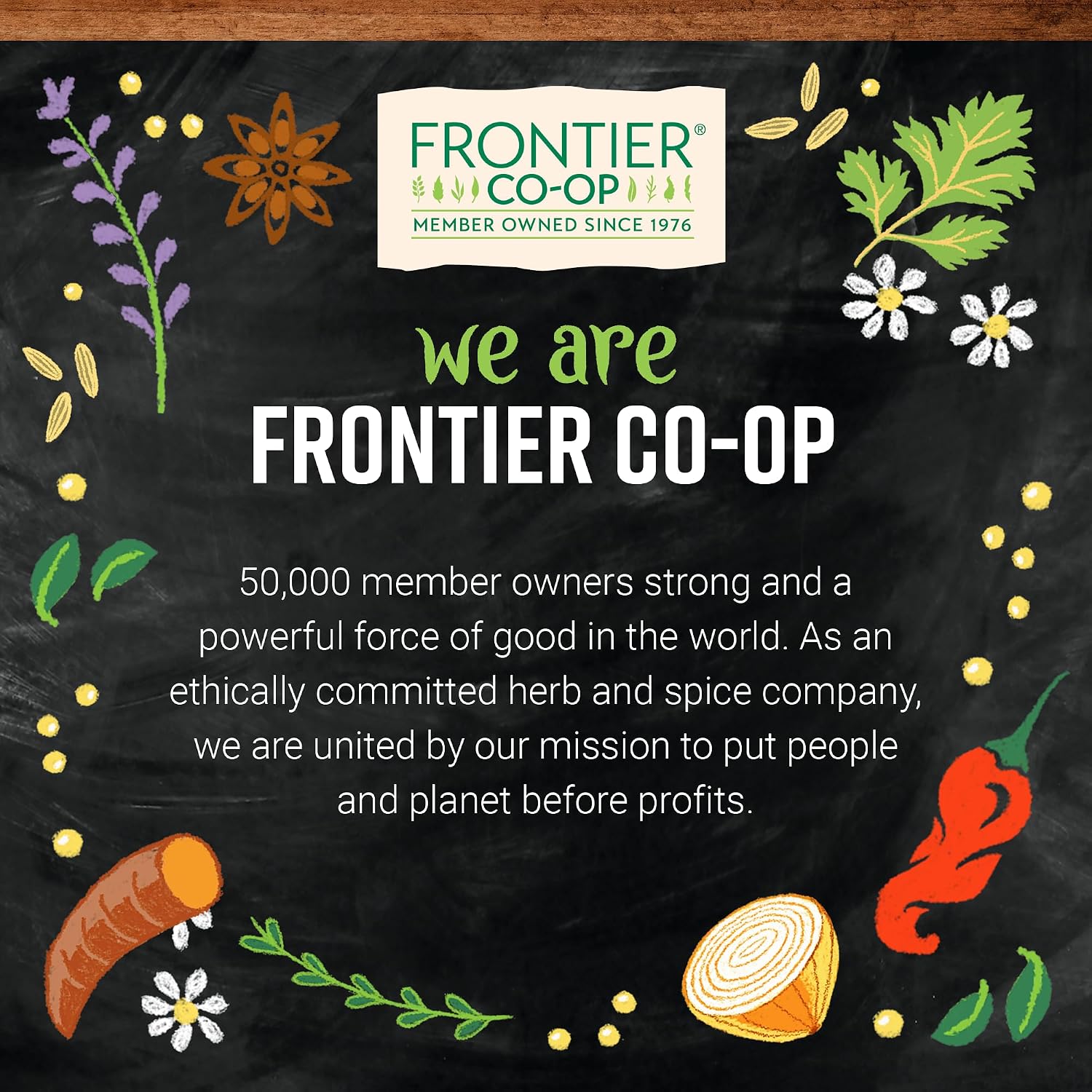 Frontier Co-op Vegetable Broth Powder, 1-Pound Bulk Bag, Broth, Soup Base, Gravy, Hot Drink, Kosher