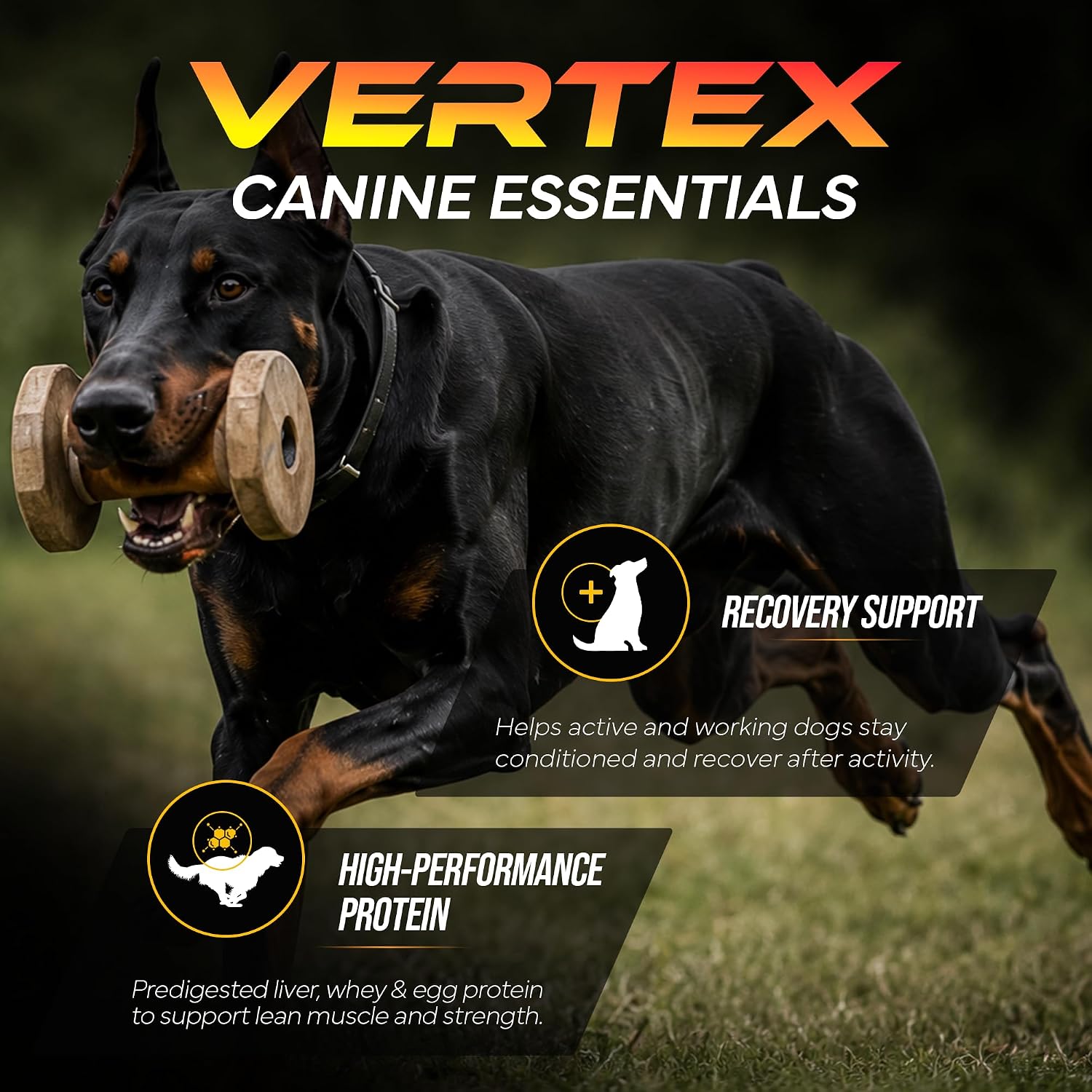 Vertex Canine Essentials High-Performance Dog Supplement -Active Dogs 10lbs
