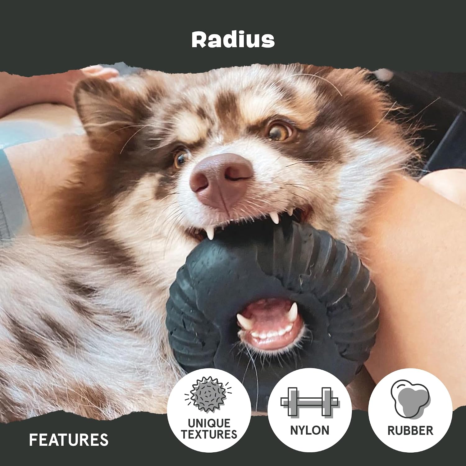 BarkBox Turkey Super Chewer - Toy for Large Dogs