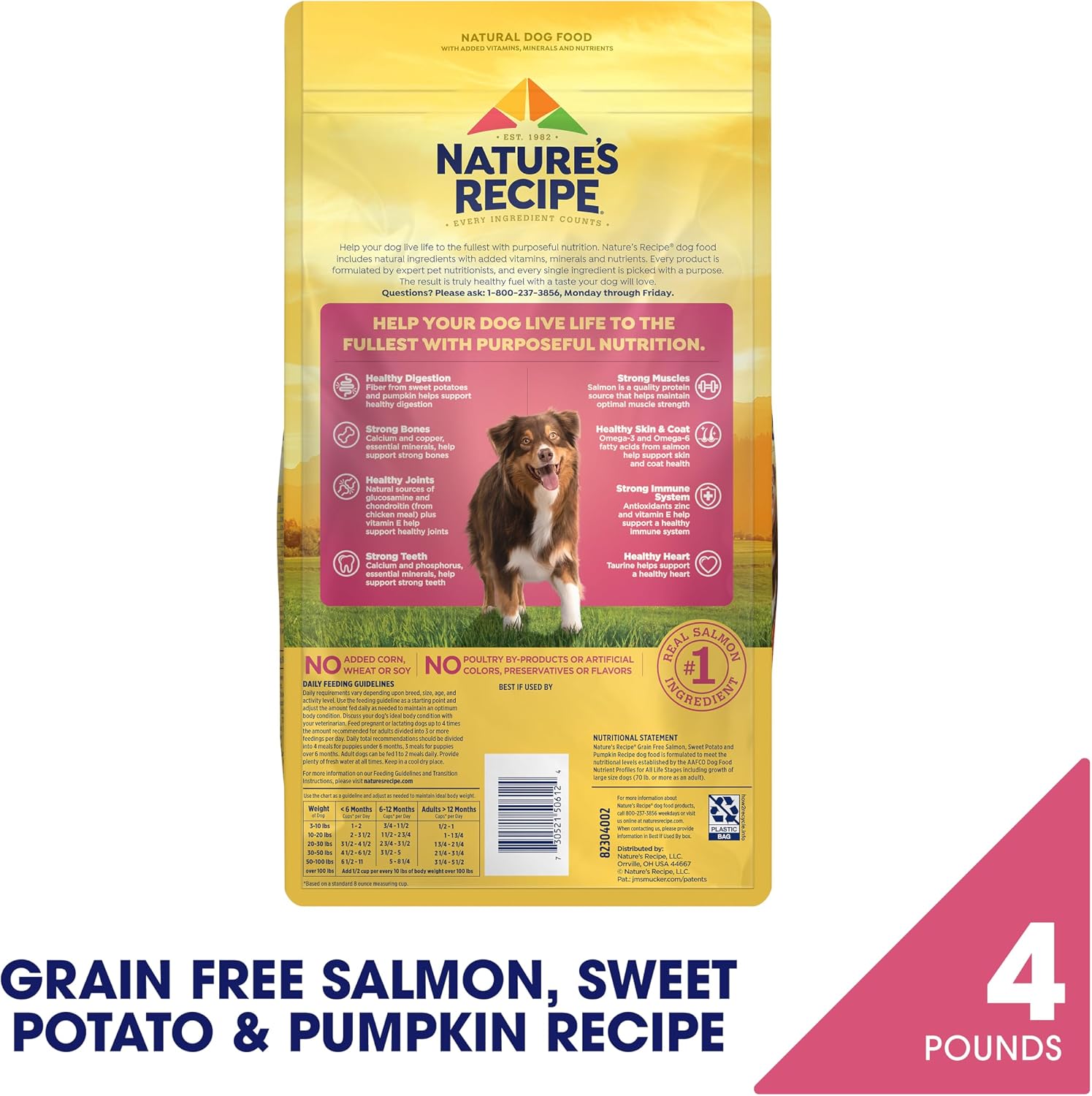 Nature's Recipe Grain Free Salmon Dry Dog Food, 24 lb. Bag | Fiber From Sweet Potatoes & Pumpkin Helps Support Digestion and Immune System Health