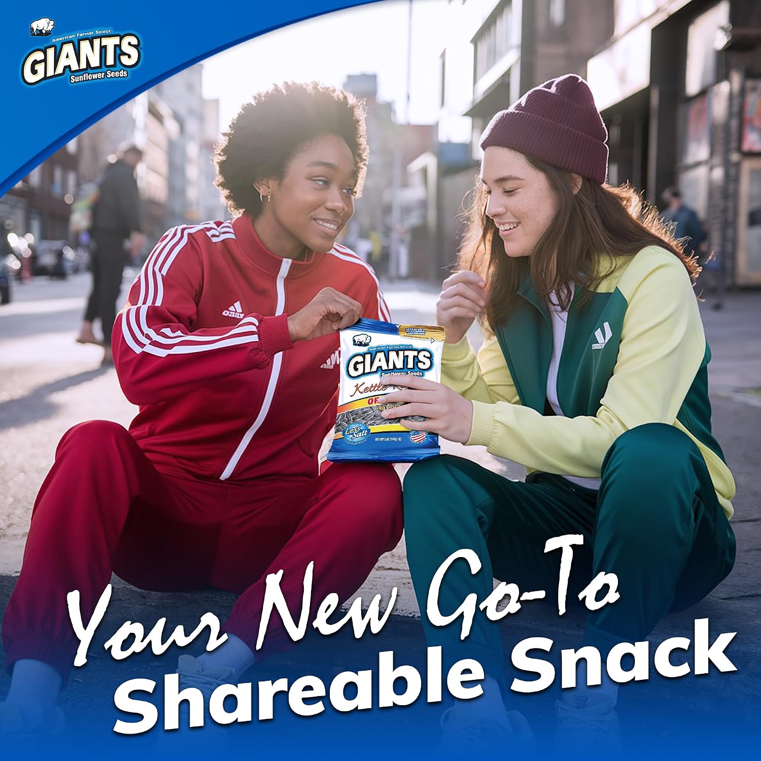 GIANTS Original Sunflower Seeds - Sunflower Seeds to Eat, Sunflower Seeds Bulk, Lightly Salted Sunflower Seeds for Eating, High Protein Snack - 5.75 oz Resealable Bags (Case of 12)