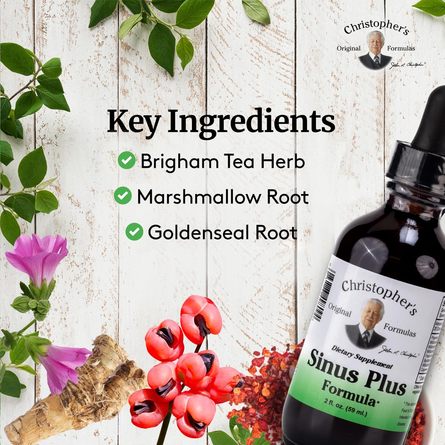 Christopher's Original Formulas Sinus Plus, 2 oz Liquid - Natural Herbal Formula for Sinus Support
