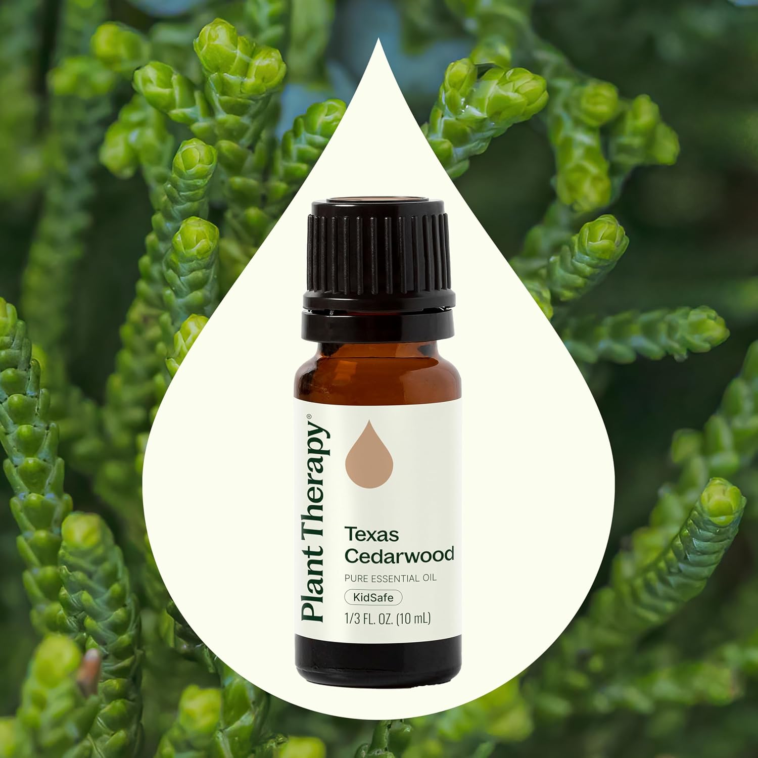 Plant Therapy Texas Cedarwood Essential Oil 10 mL (1/3 oz) 100% Pure, Undiluted, Aromatherapy for Mood Support and Clear Breathing
