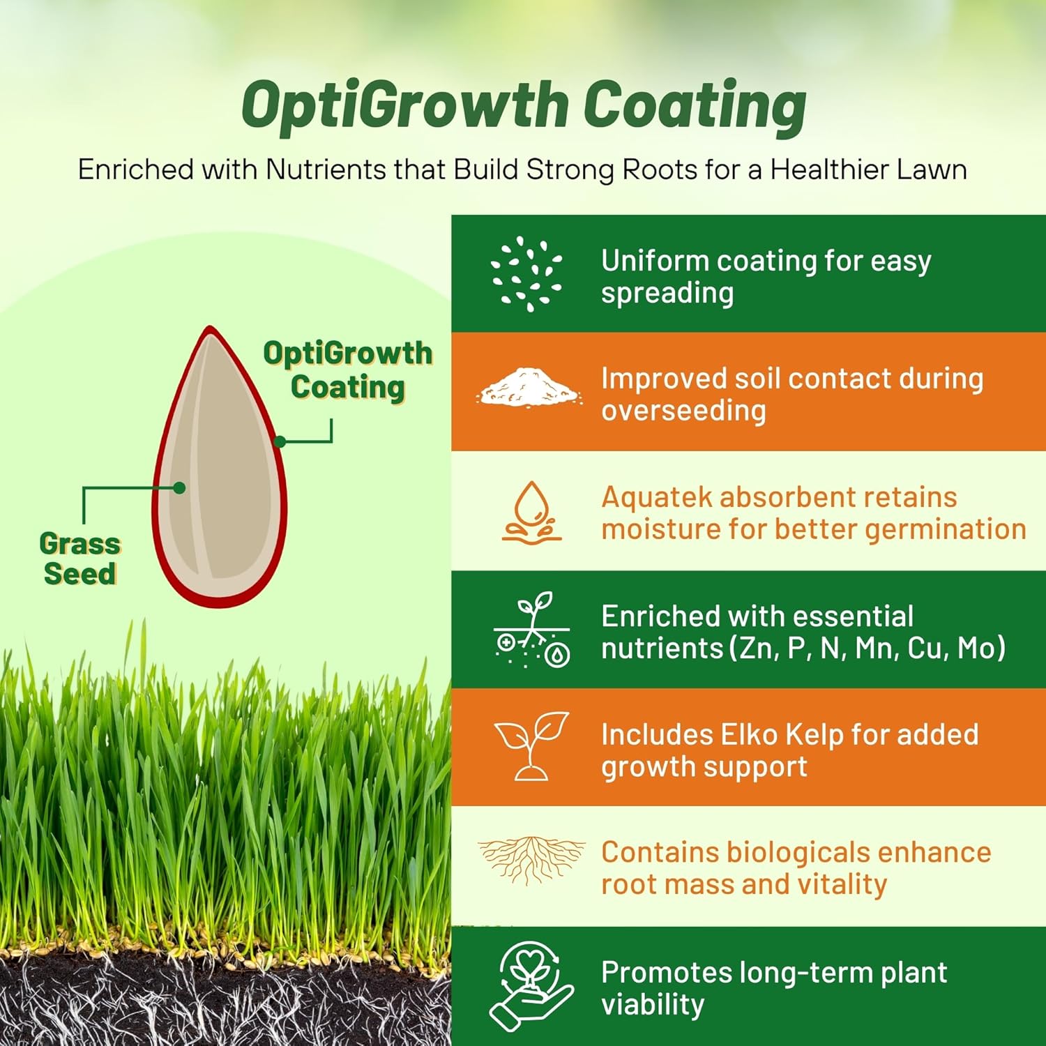 Outsidepride Midnight Kentucky Bluegrass Seed - 10 Lbs. Cold & Drought Tolerant, Sun-Loving Lawn Grass Seed, w/High Traffic Tolerance & Deep Root System, OptiGrowth Coated for Better Establishment