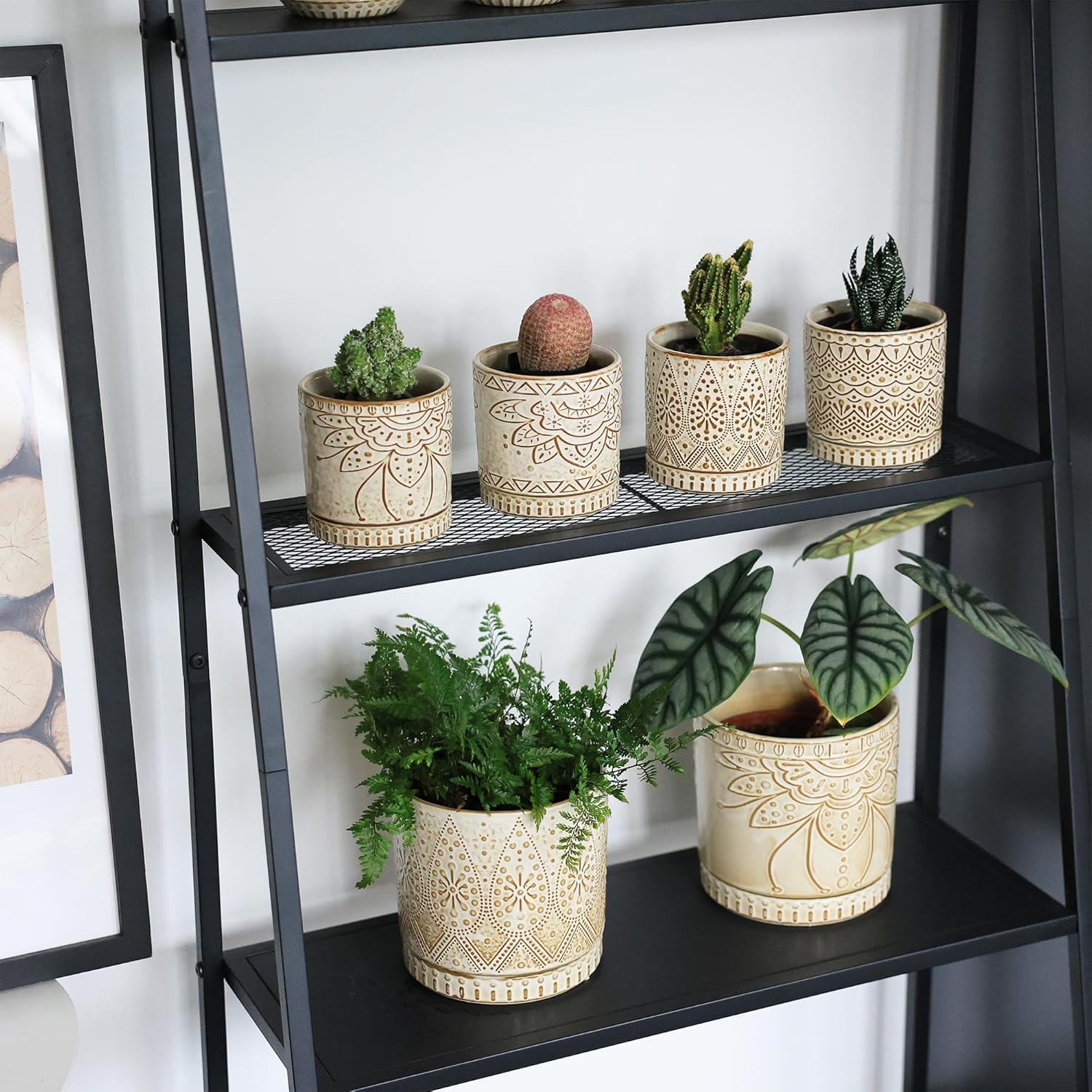 Gepege Ceramic Plant Pots, 6 Inch Indoor Planters with Drainage & Saucers