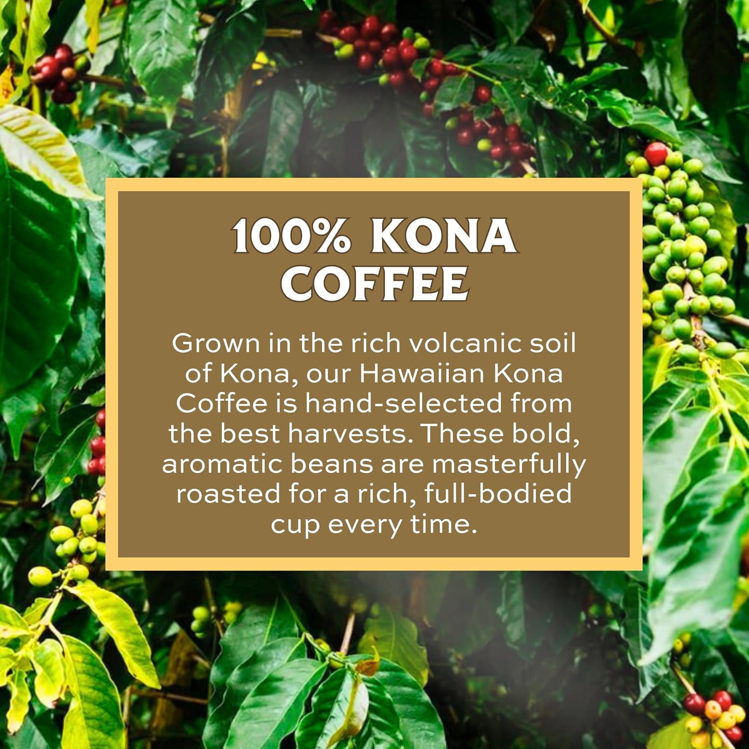 Lion Coffee 24K Gold Roast 100% Kona Ground Coffee, Medium-Light Roast, A Taste of Aloha - 7 Ounce Bag