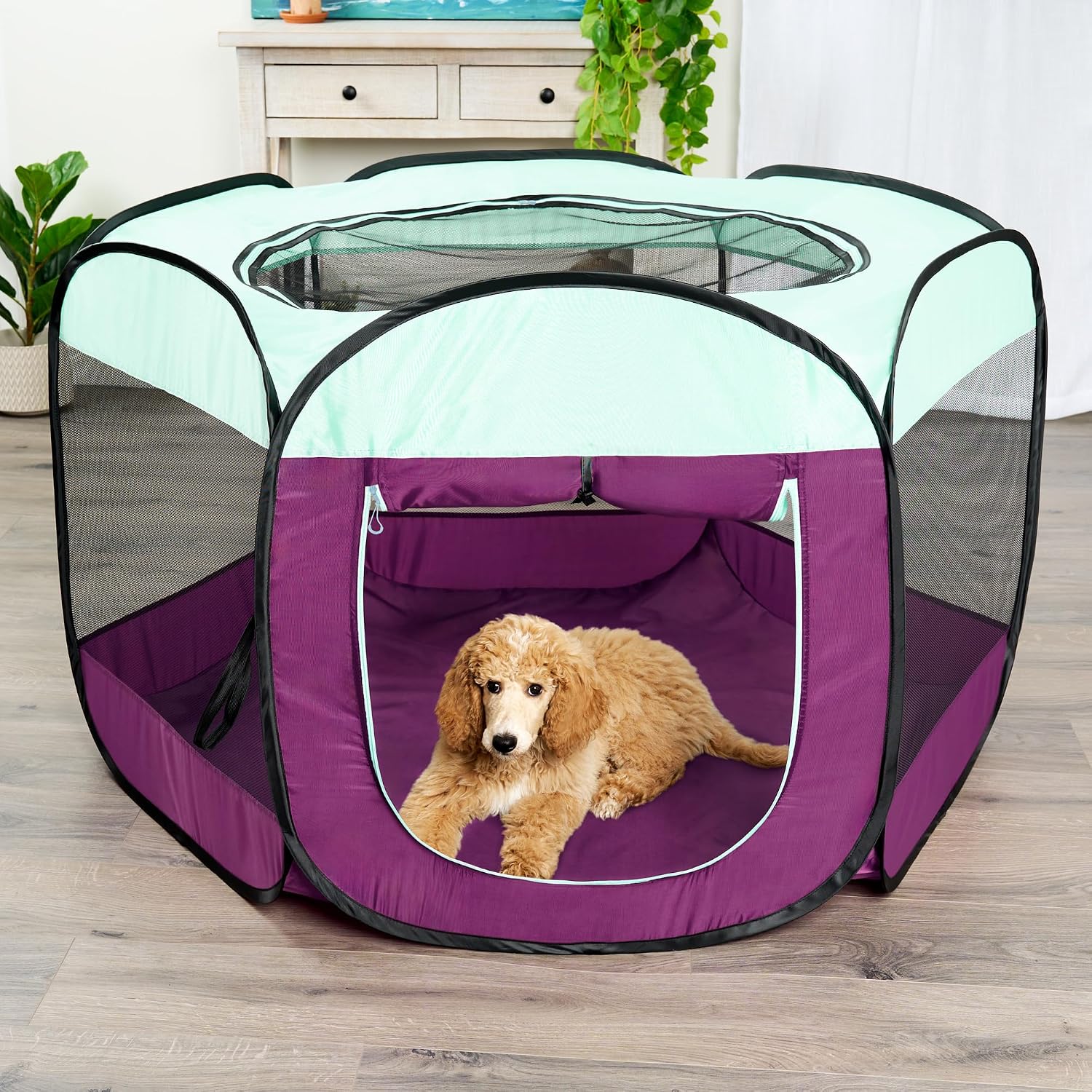 Furhaven Portable Dog Playpen Cat Tent, Pet playground,Kennel foldable indoor outdoor zippered puppy crate - Hunter Green, Medium