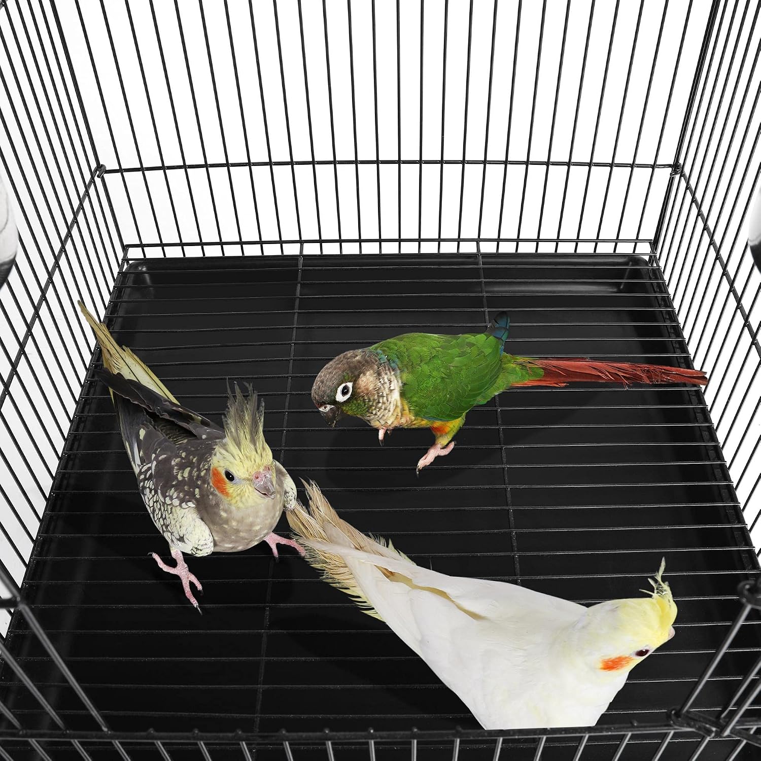 Yaheetech 57" Open Top Bird Cage with Detachable Rolling Stand & Storage Shelf, Parrot Cage for Cockatiels, Quaker, Conures