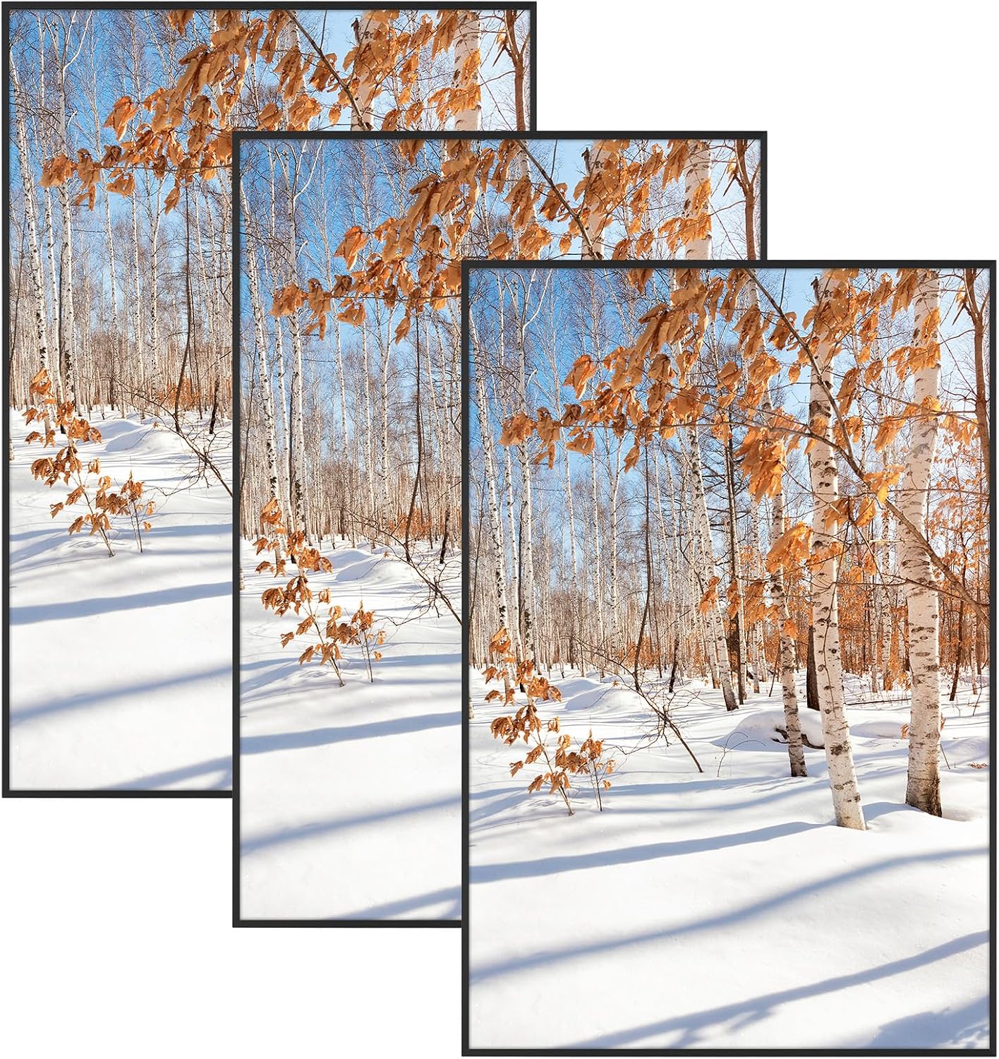 Golden State Art 3 Pack 12x12 Black Aluminum Frames, Real Glass Fronts