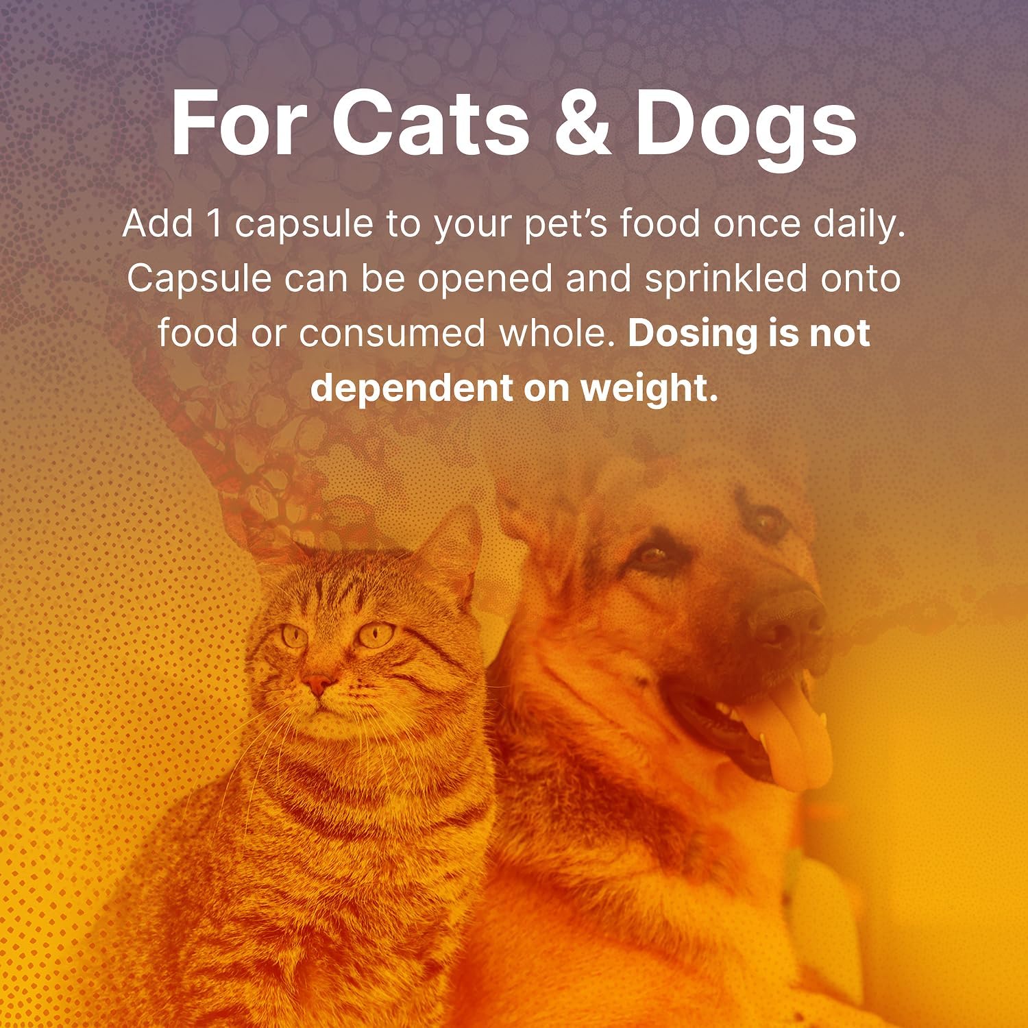 Microbiome Labs Fidospore - Dog Probiotics for Digestive Health & Immune Support - Spore-Forming Pet Probiotics for Dogs & Cats Gut Health