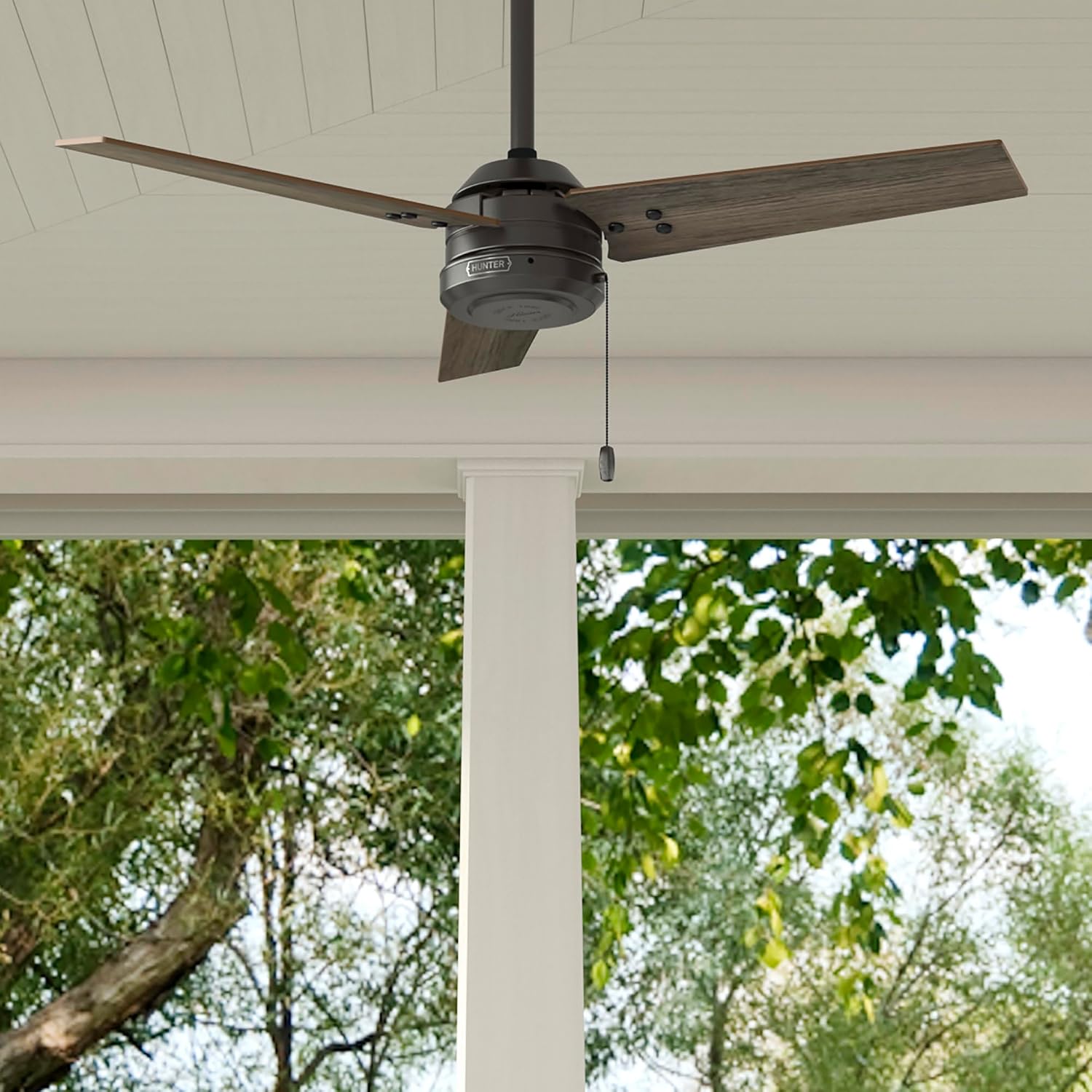 Hunter Cassius, Outdoor or Indoor, Ceiling Fan, 44 inch, Matte Black