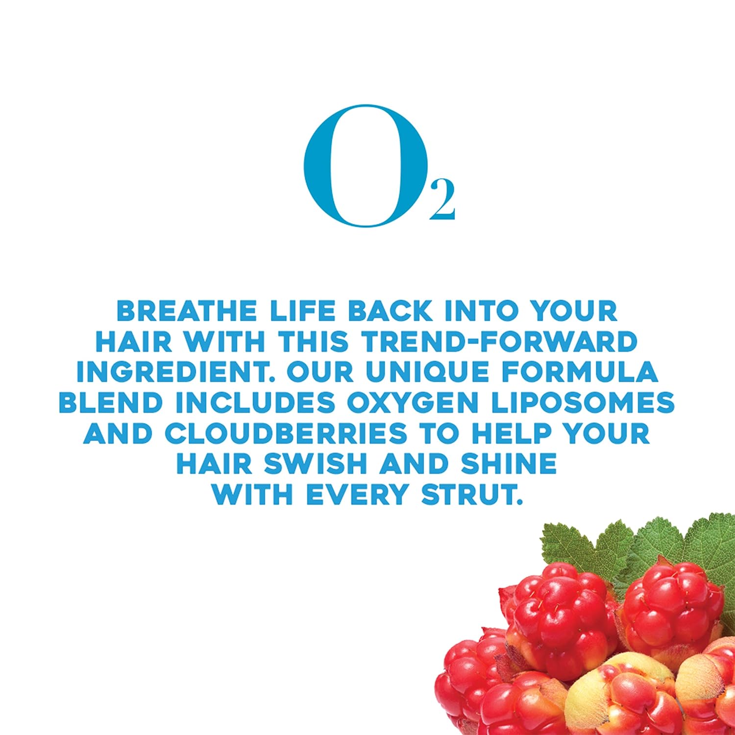 OGX Anti-Gravity + Hydration O2 Shampoo, 13 Ounce