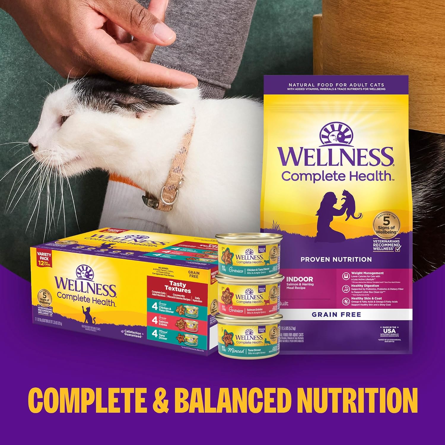Wellness Complete Health Pate Variety Pack Adult Canned Wet Cat Food, Natural, Protein Rich, Grain Free, Chicken and Turkey Favorites, 3 oz