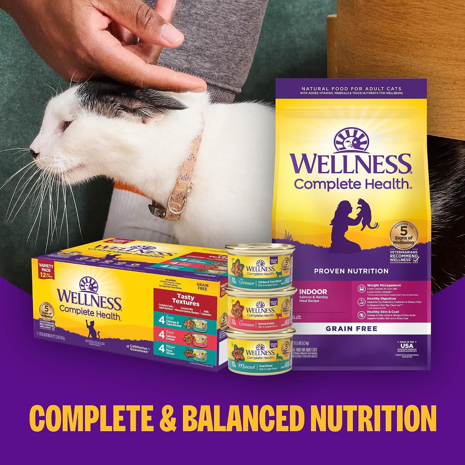 Wellness Complete Health Pate Adult Canned Wet Cat Food, Natural, Protein Rich, Grain Free, Turkey Dinner Recipe, 12.5 oz, Pack of 12 Cans