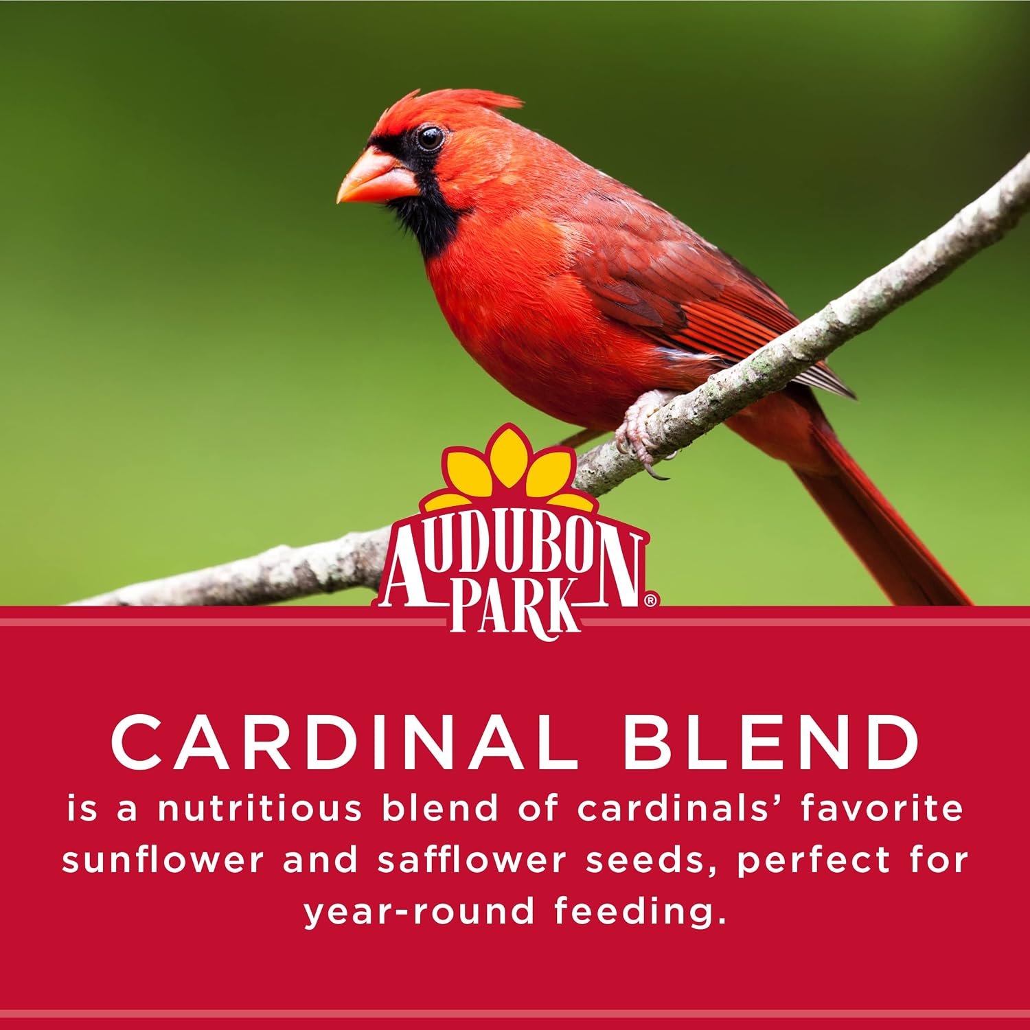 Audubon Park Cardinal Blend Wild Bird Food, Cardinal Bird Seed for Outside Feeders, 4-Pound Bag