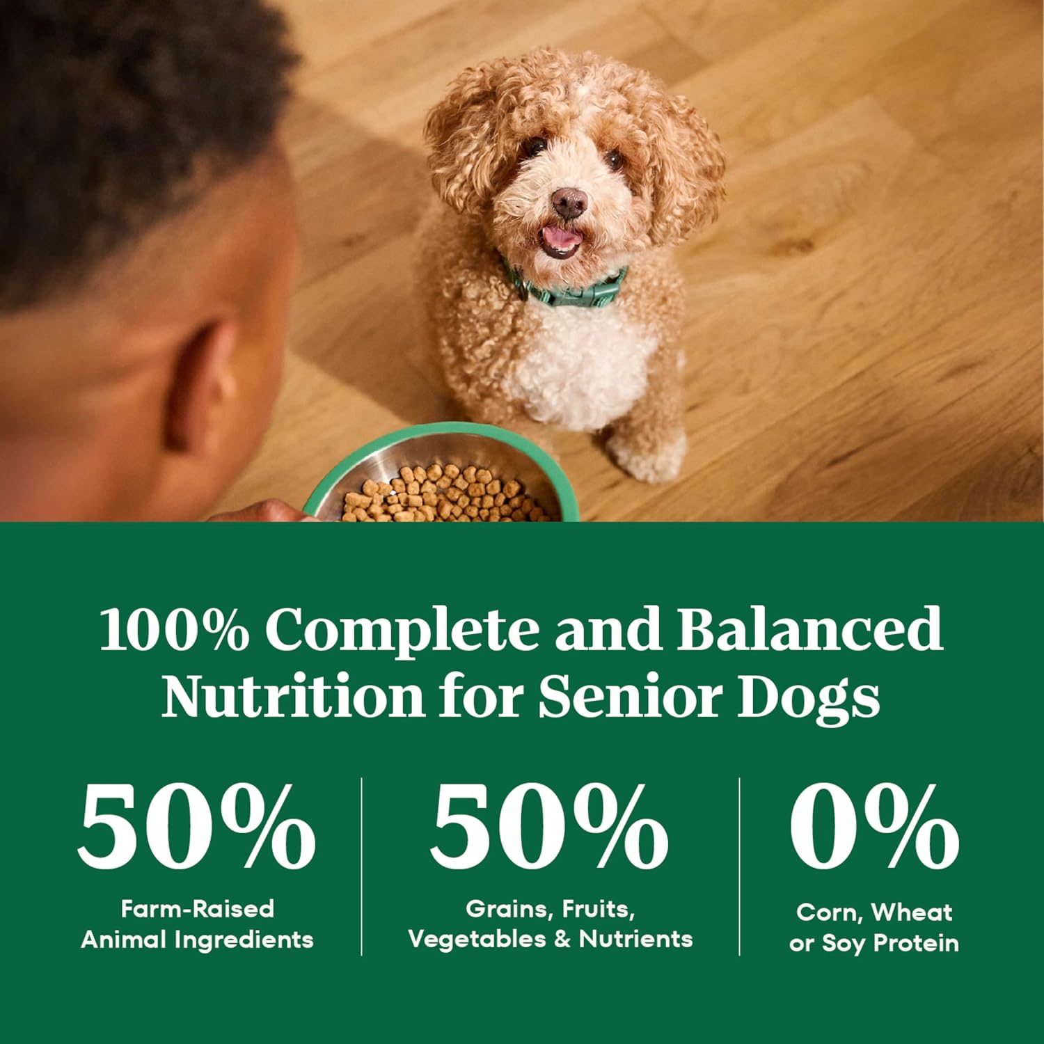 Nutro Natural Choice Senior Dry Dog Food, Chicken & Brown Rice, 30 lb | Non-GMO, Real chicken #1 ingredient, no corn, wheat, soy, supports bones, digestion & immunity, dental health & skin/coat