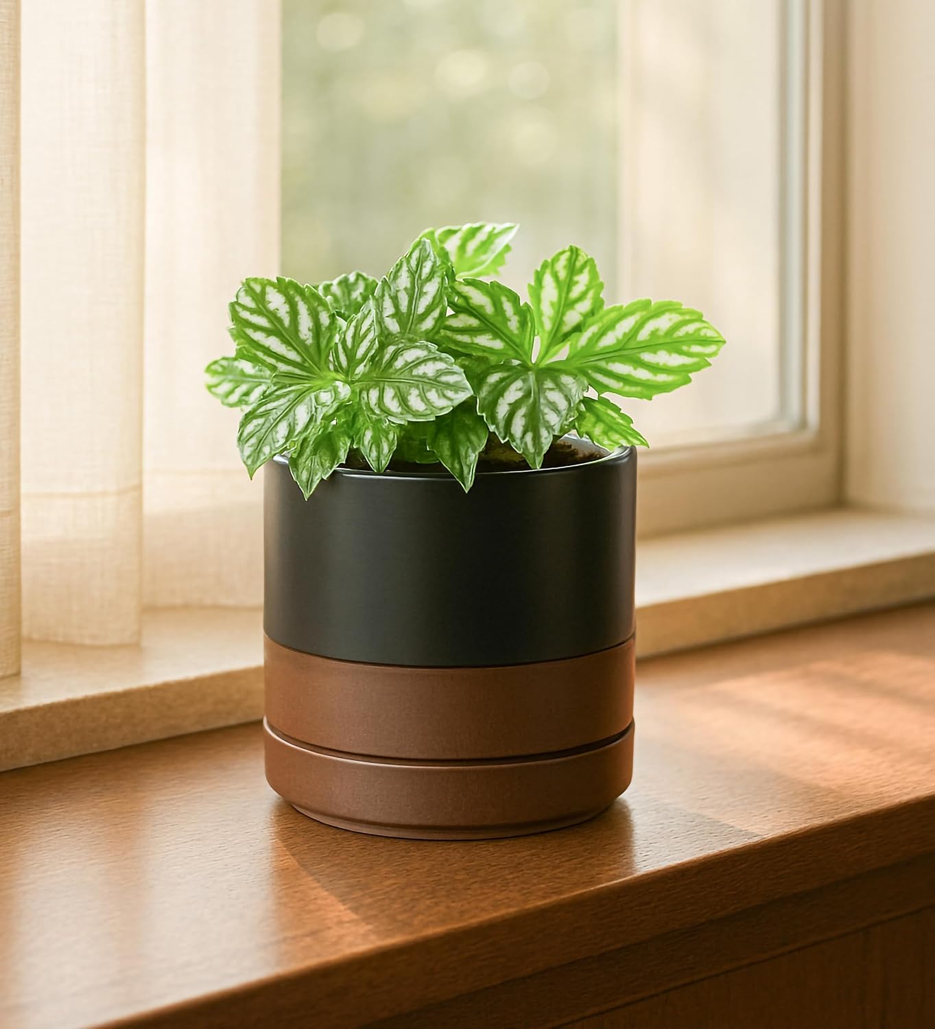 D'vine Dev 2-Pack Ceramic Pots with Saucers, White/Grey, 4.7 in, 94-V-B-6