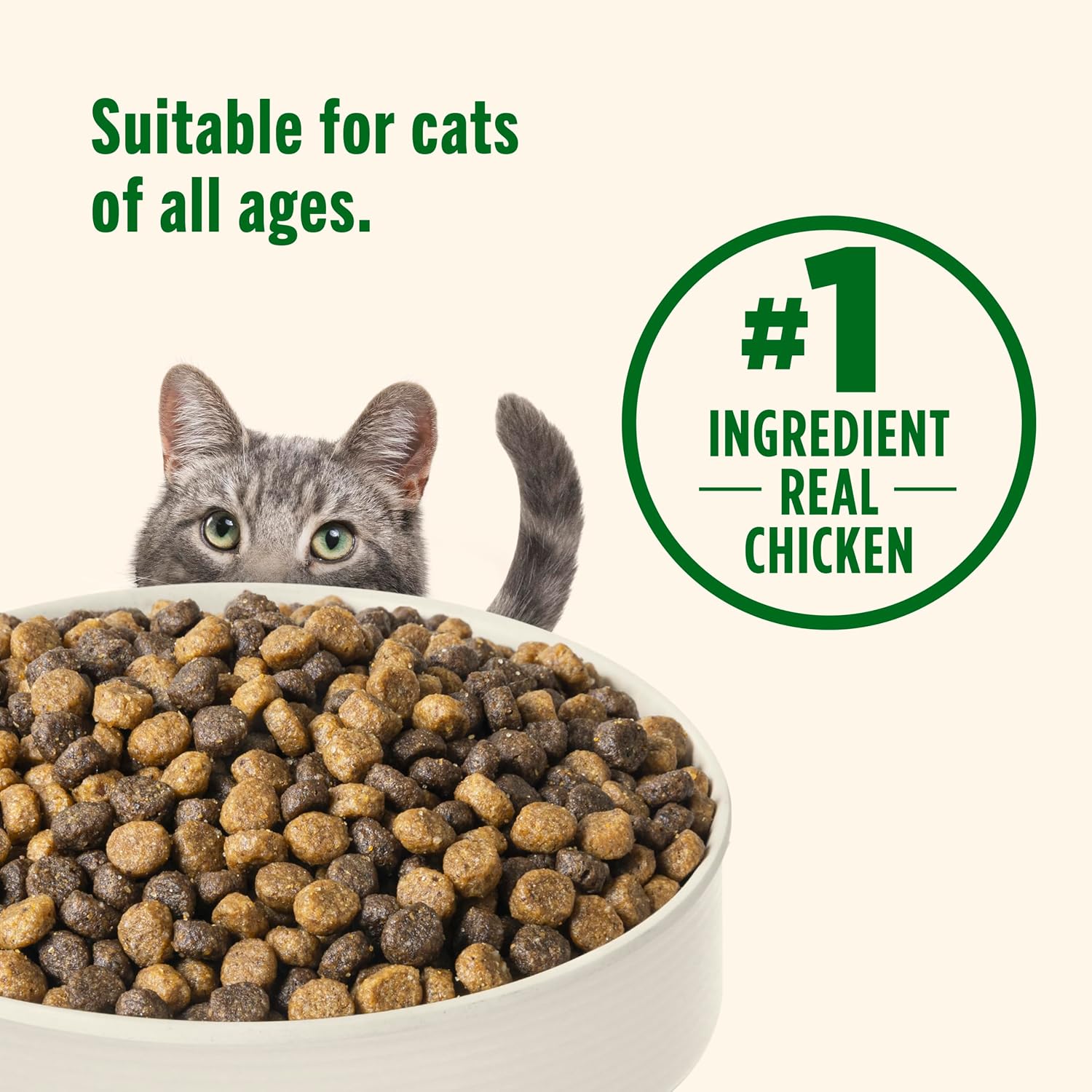 Nutrish Dry Cat Food, Chicken & Brown Rice Recipe, 3 lb. Bag (Rachael Ray) | Suitable For All Life Stages, Veterinarian Reviewed Formula, Natural Food with Added Vitamins, Minerals & Nutrients