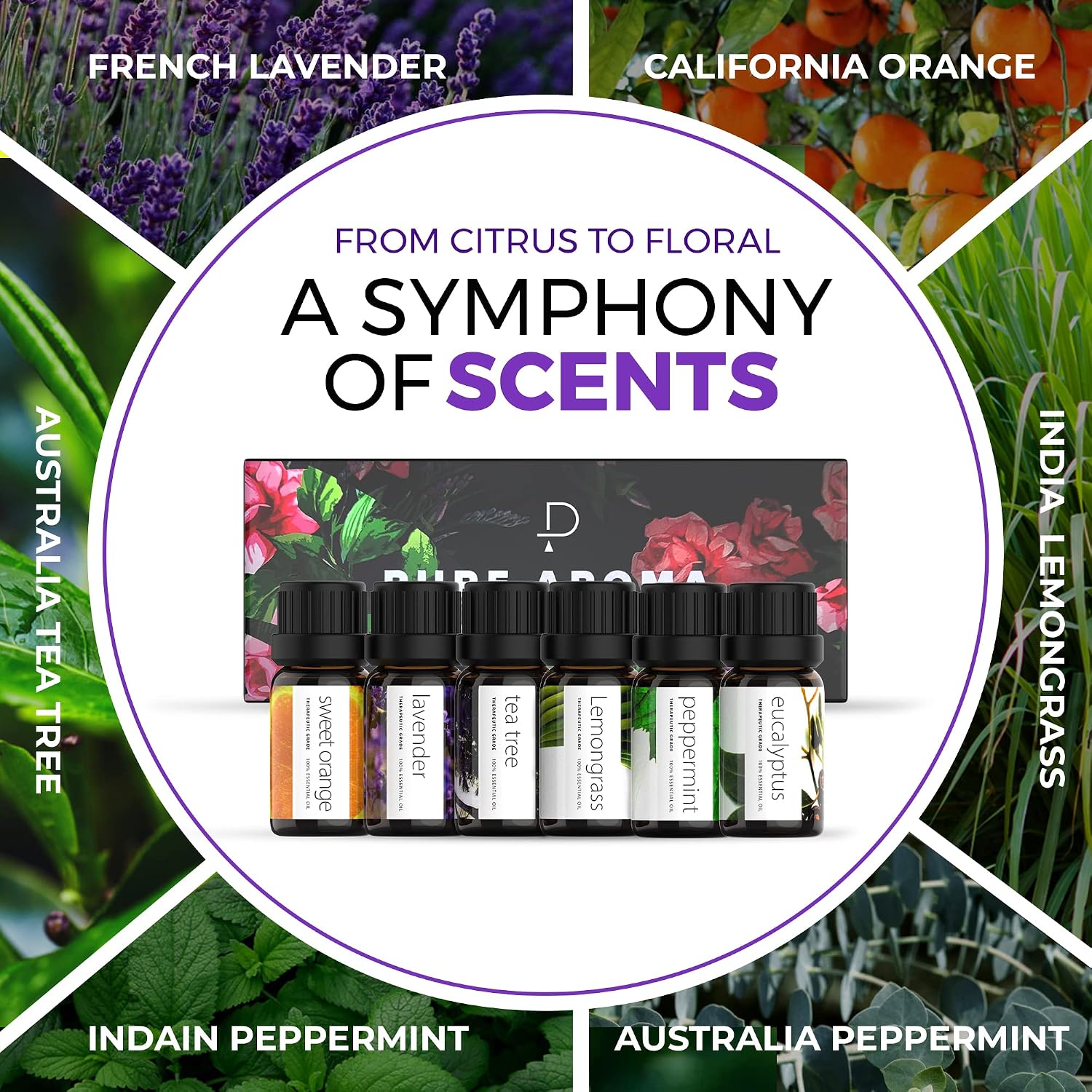 Essential Oils Set by Pure Aroma - Top 6 Aromatherapy Oils Gift Set-6 Pack, 10ml (Eucalyptus, Lavender, Lemongrass, Sweet Orange, Peppermint