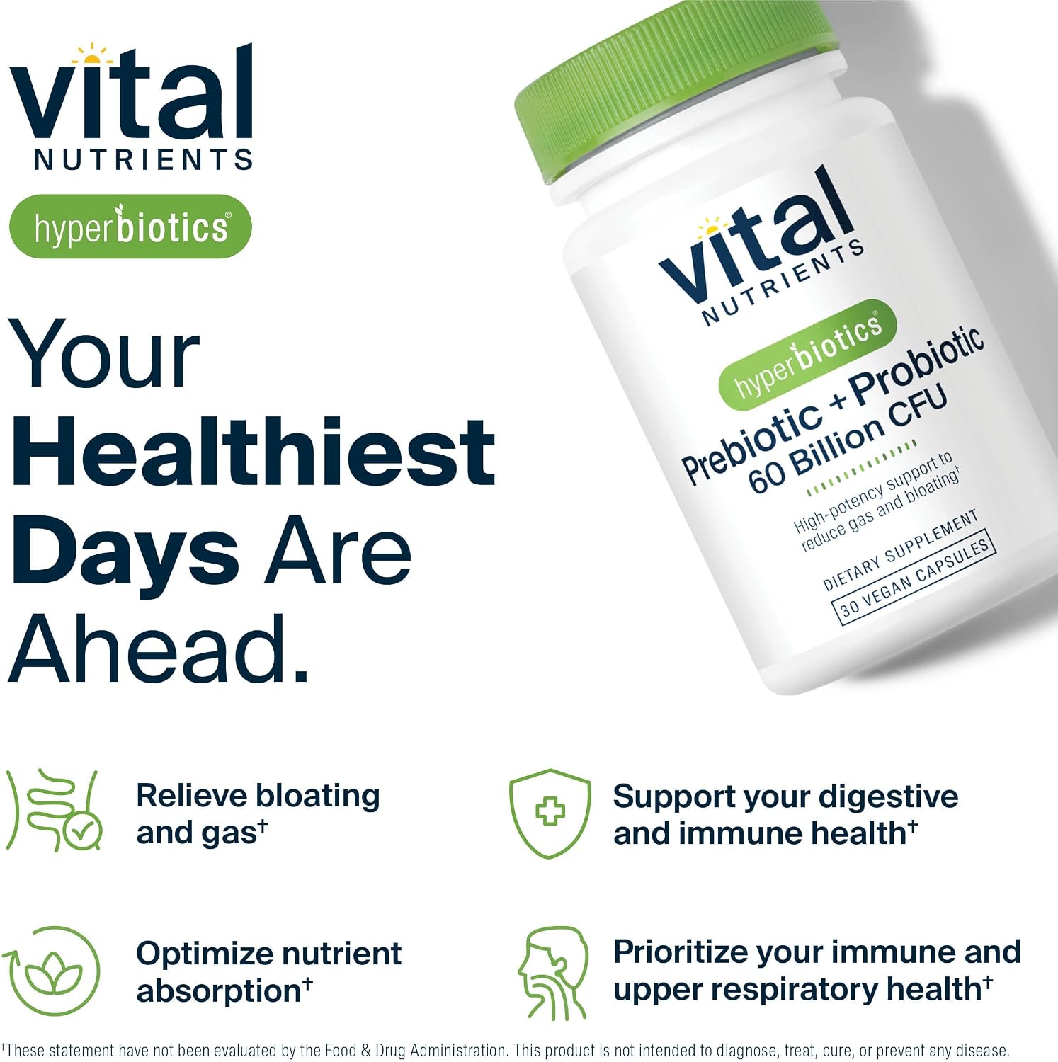 Vital Nutrients Prebiotic & Probiotic, 60 Vegan Capsules