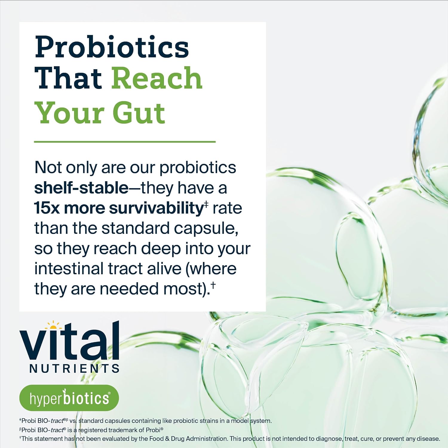 Vital Nutrients Prebiotic & Probiotic, 60 Vegan Capsules