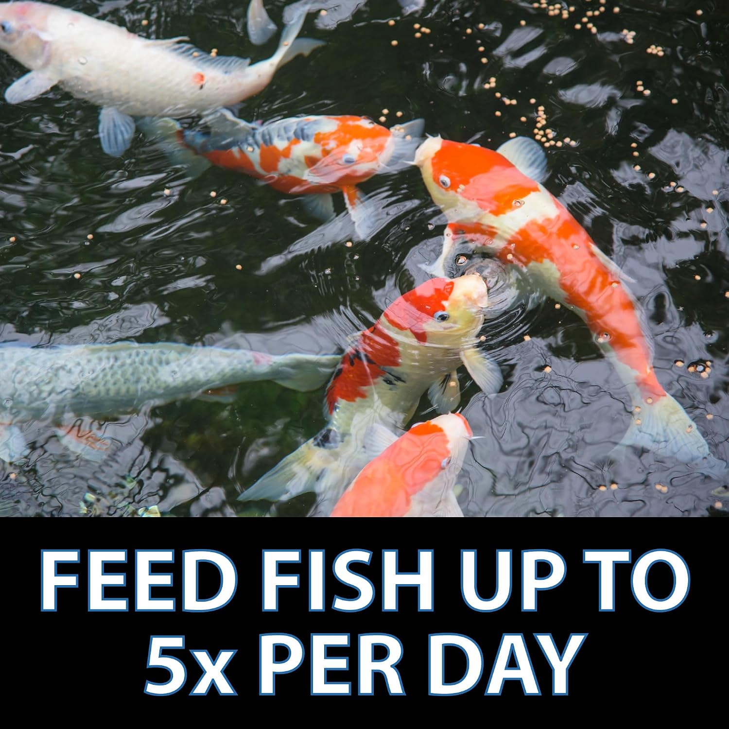 CrystalClear Platinum Fish Food Floating 5mm Pellets, 17.6 lbs | For Koi & Goldfish, premium nutrition to boost growth, color, and wellness in backyard ponds & water gardens