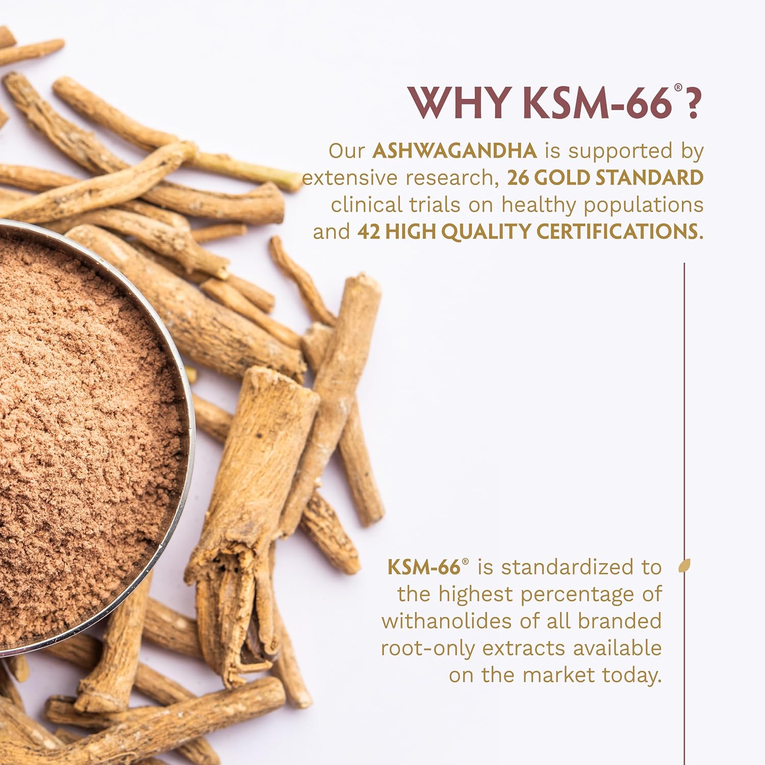 TRIBE ORGANICS Vegan Ashwagandha KSM 66 Pure Organic Root Powder Extract Ayurvedic Supplement - Focus Mood Support Increase Energy Strength 600mg of