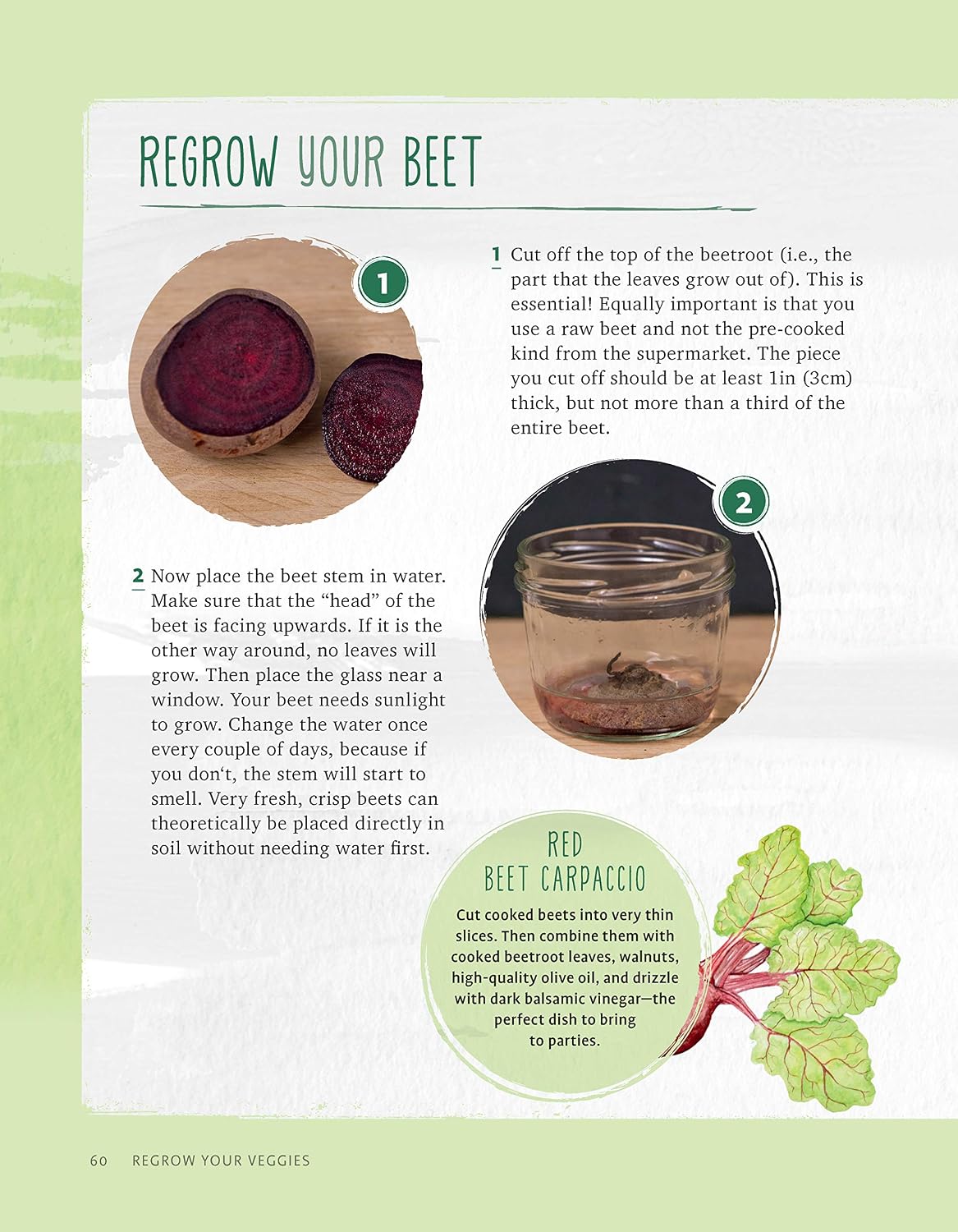 Regrow Your Veggies: Growing Vegetables from Roots, Cuttings, and Scraps (CompanionHouse Books) Sustainable Tips, Troubleshooting