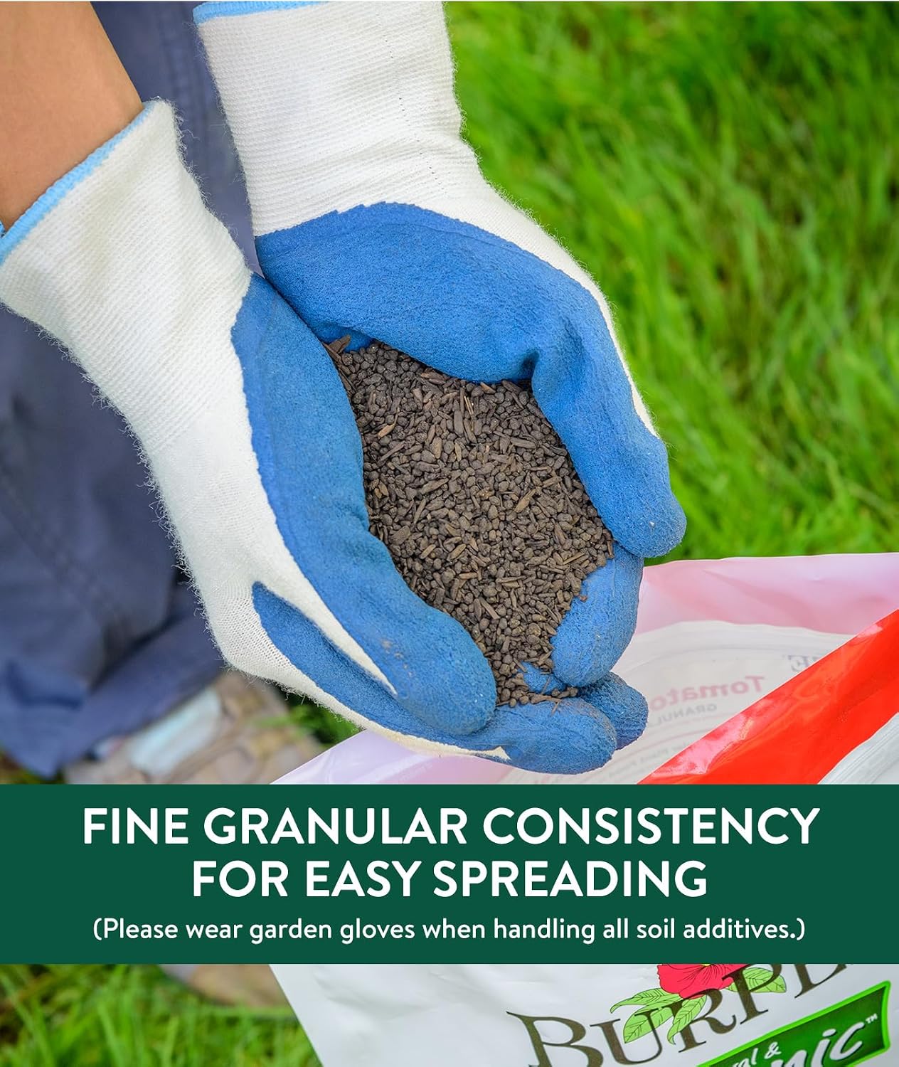Burpee Natural Purpose Granular 4-Lb Organic Food for Growing Strong Plants | Good for Vegetable Garden, Flower Garden & Seed Starting, 4 lb, 4lb. Bag