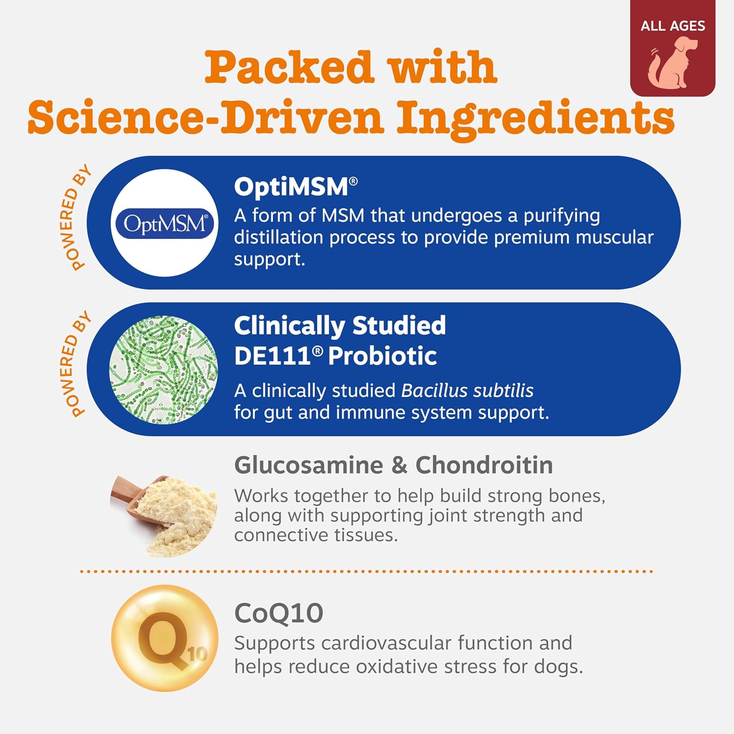 Zesty Paws Dog Multivitamin, Chewable Dog Vitamins and Supplements for Hip & Joints, Skin & Coat, Omega 3 Fish Oil for Dogs- Senior & Puppy Multivitamin- Chicken- 90ct