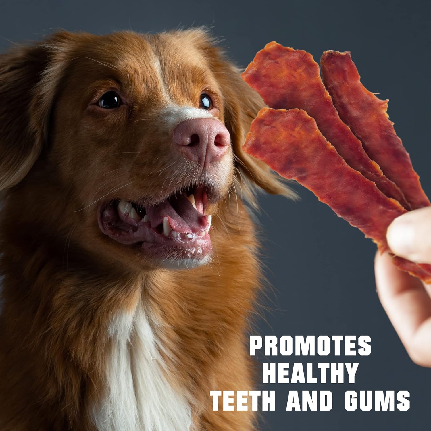 Beloved Pets Dog Treats Chicken Jerky 1.5 lb – Dog Food & High Protein Chews for Large